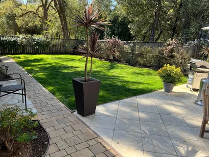 a view of a garden with a slide