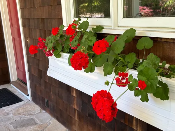 $10,000 | 15 Martin Lane, Woodside, CA 94062