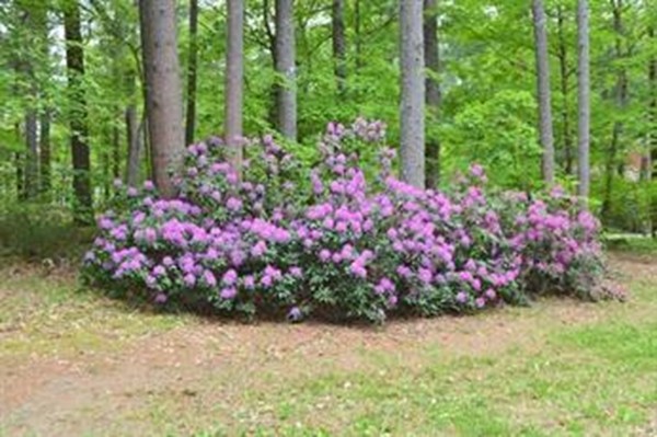 120 Hill Road Groton, MA 01450 - Photo 5 of 27