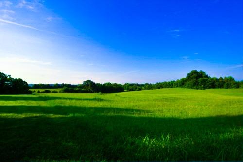 Evans Road, Unit 4 Knoxville, TN 37934 - Photo 2 of 4 Evans Road 1_edited