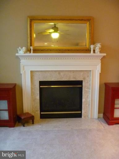 14171 Clubhouse Road Gainesville, VA 20155 - Photo 15 of 30 Fireplace