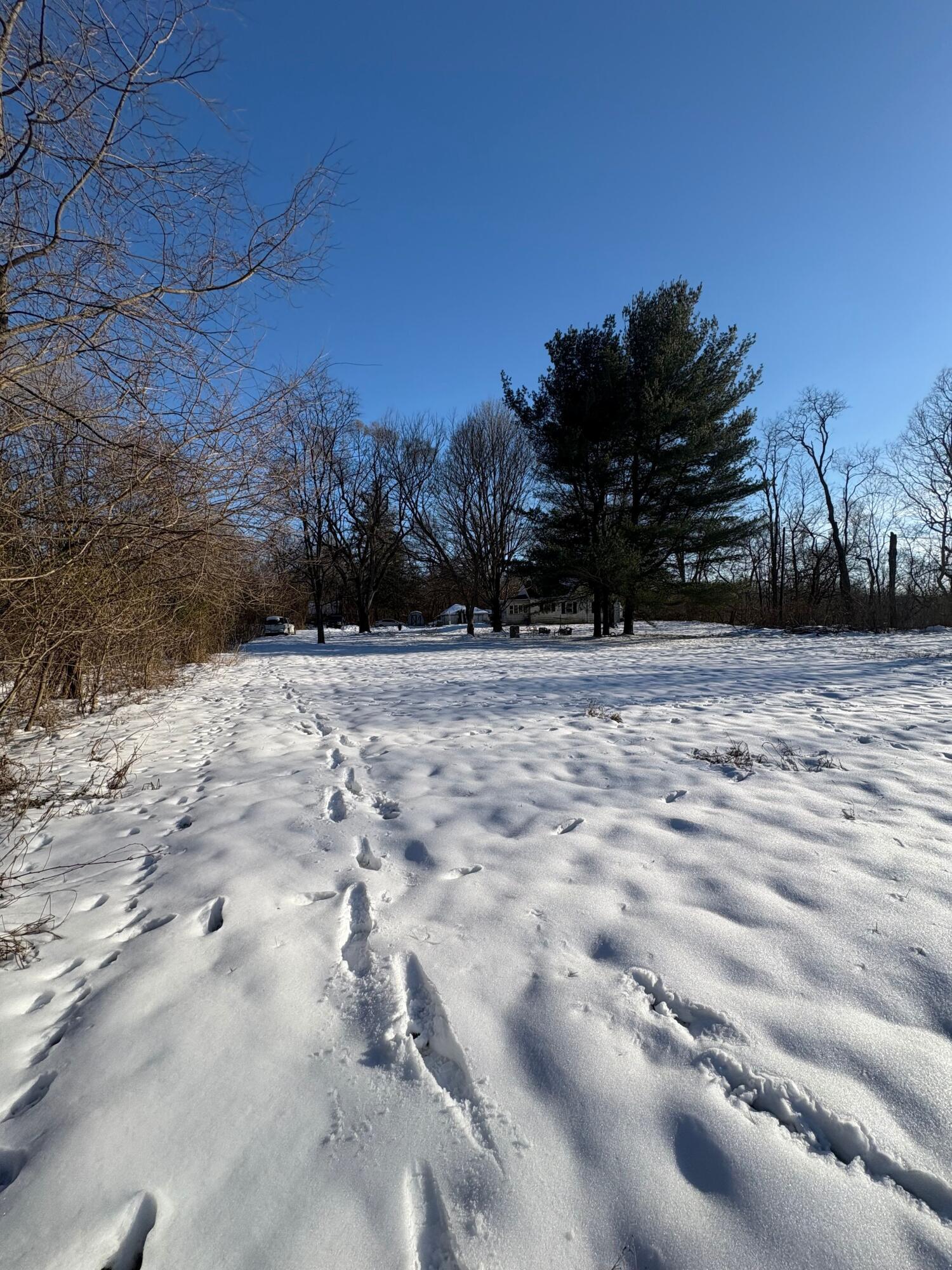 131 Narrows Road Chillicothe, OH 45601 - Photo 4 of 24 _XxD6hNA