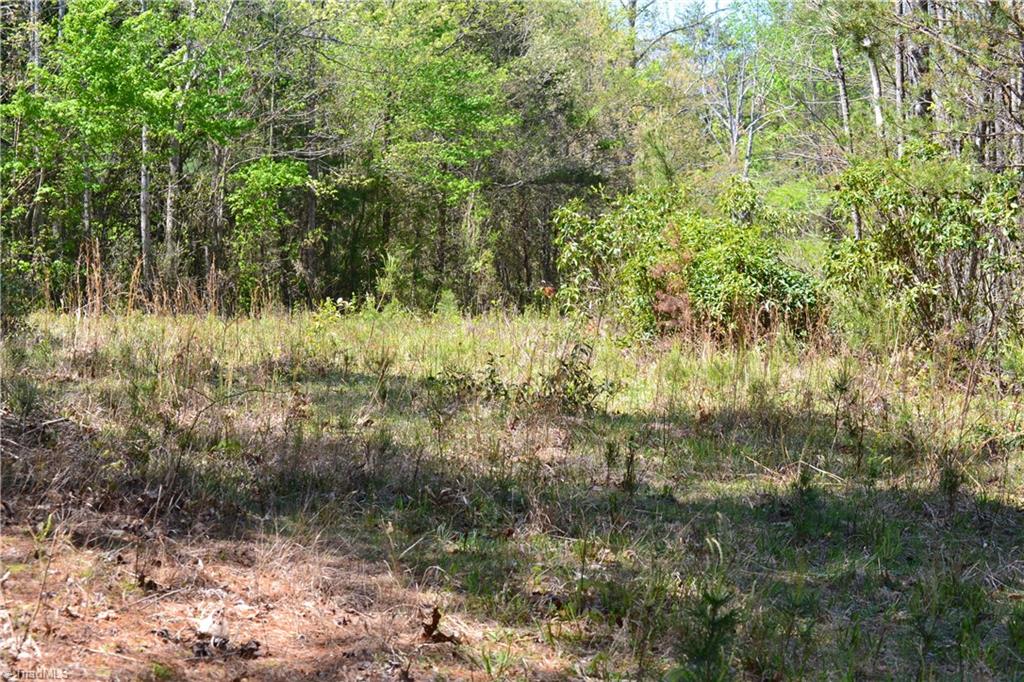 0 Swaringen Road Traphill, NC 28685 - Photo 5 of 15