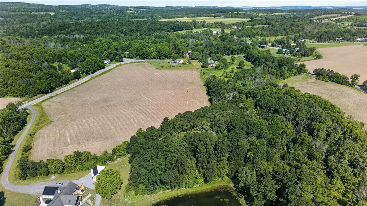 Cramer Road Canandaigua, NY 14424 - Photo 29 of 47