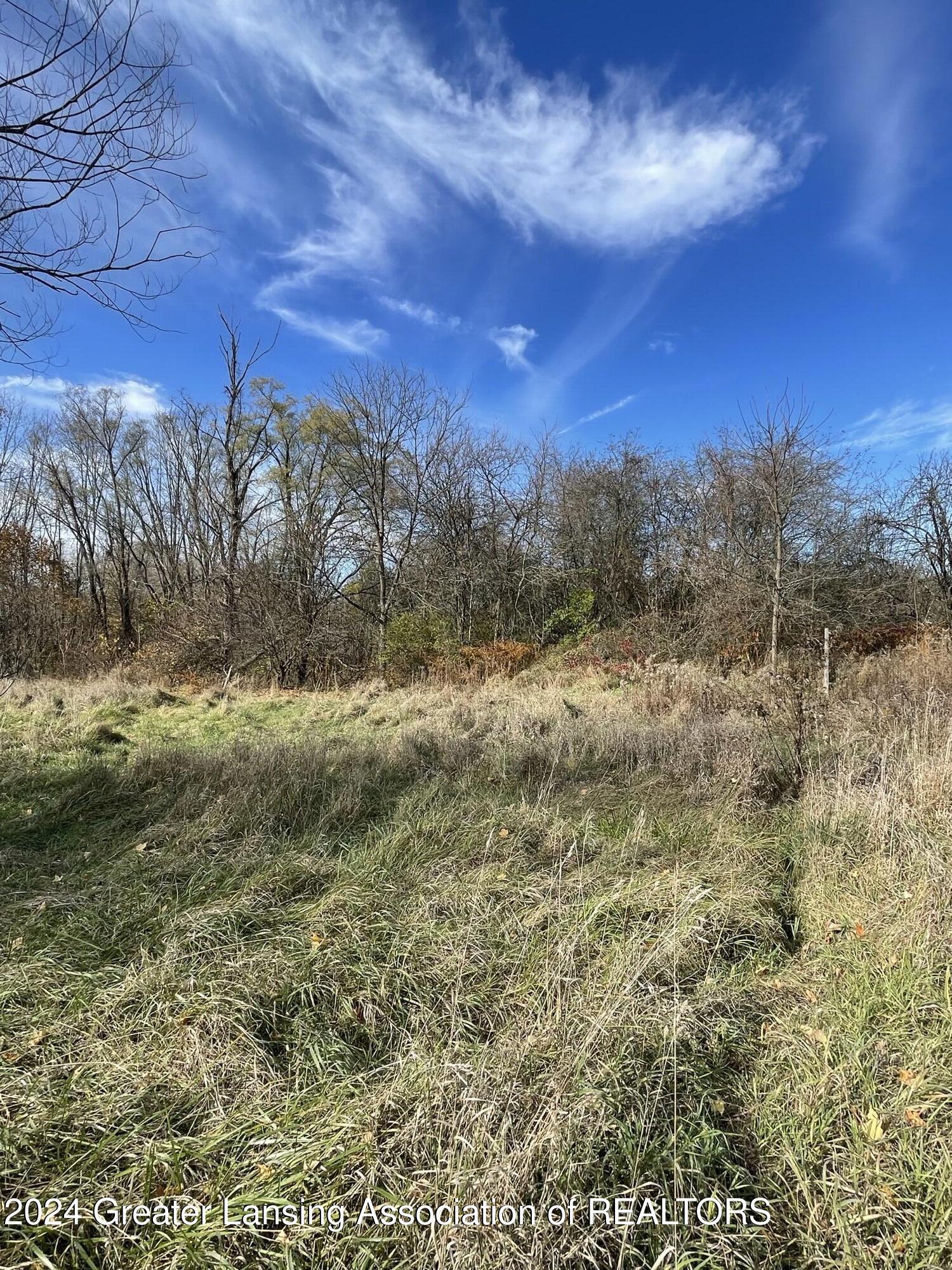 8775 Huff Road Bellevue, MI 49021 - Photo 5 of 16 05