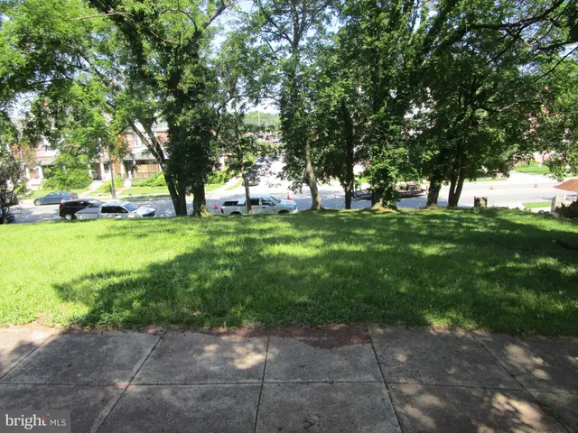 a view of a yard with plants and trees