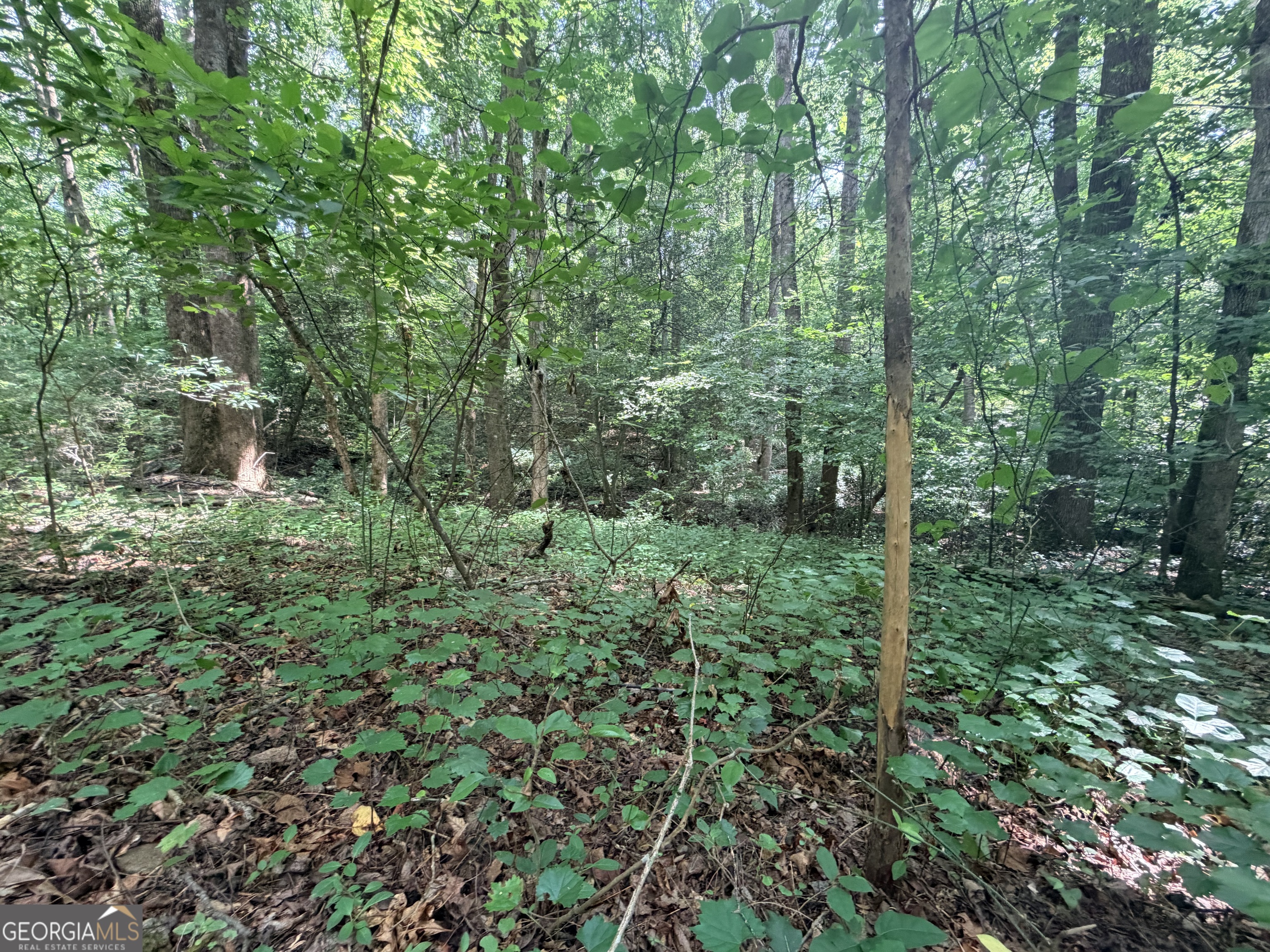1590 James Adams Road Danielsville, GA 30633 - Photo 29 of 98