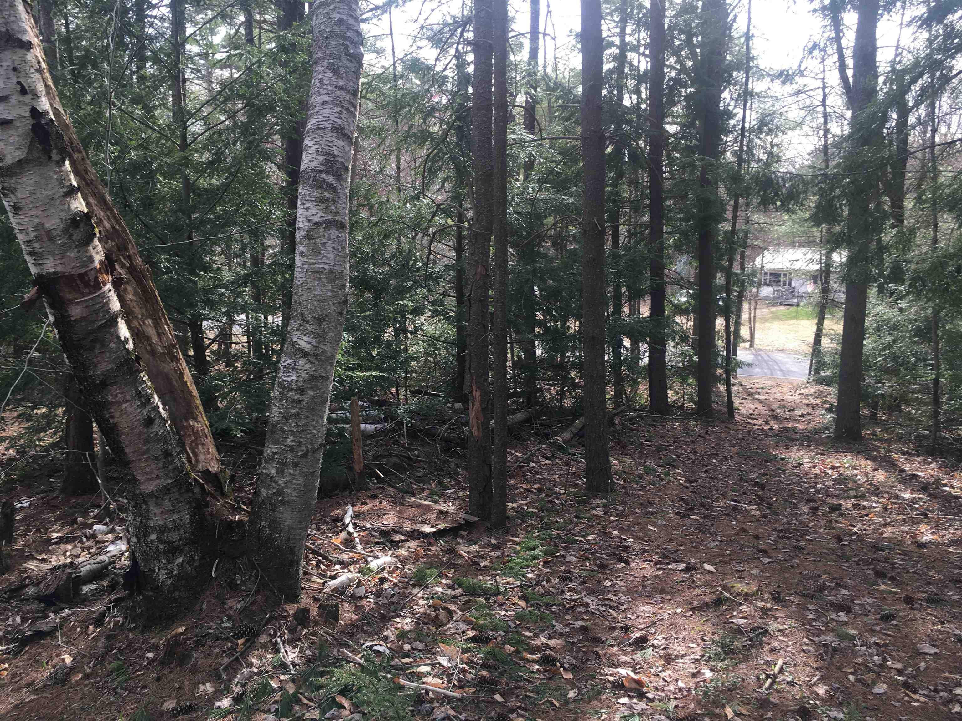 25 Wild Acres Road Belmont, NH 03220 - Photo 11 of 20 Gallery Image 11