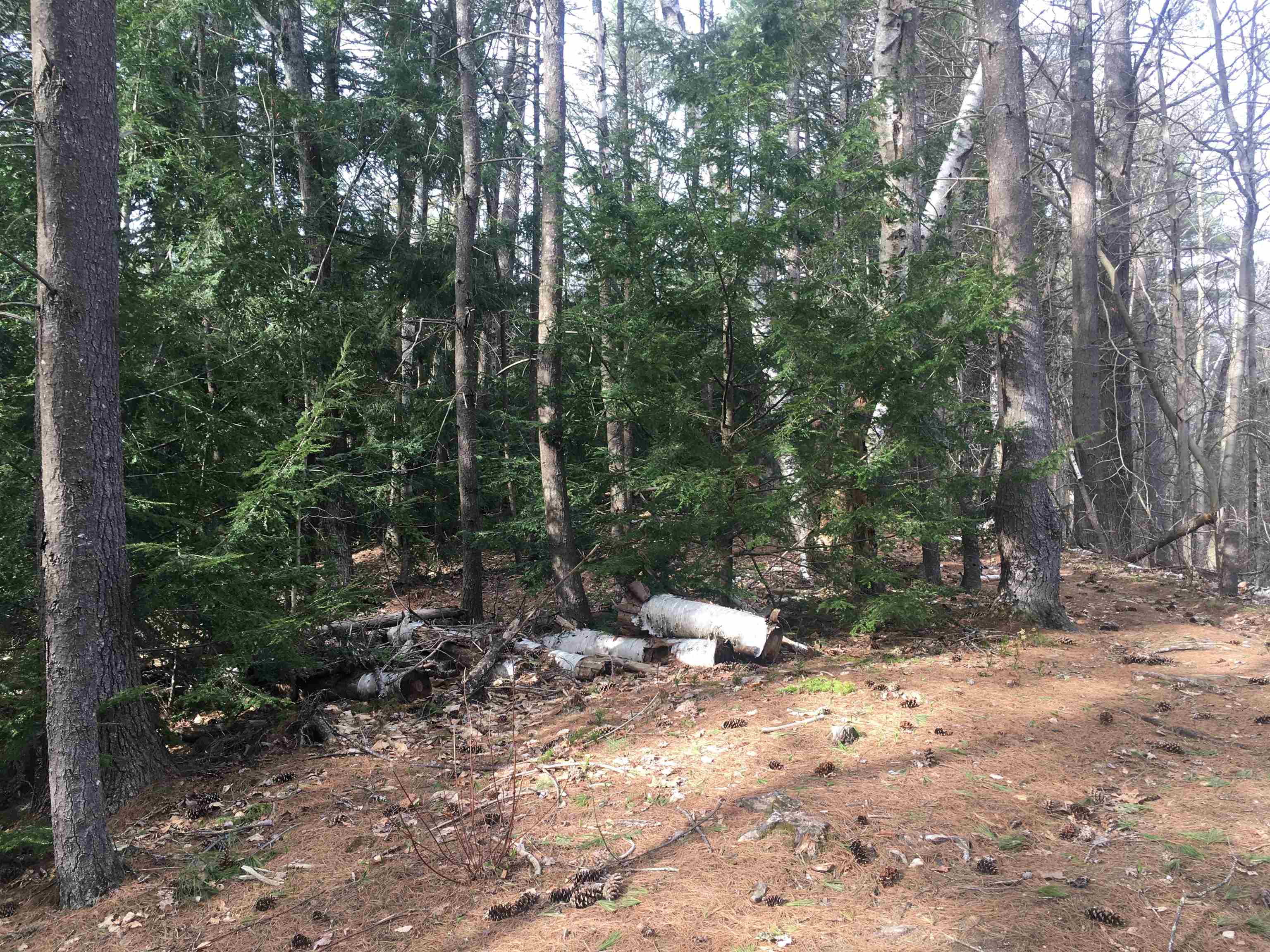 25 Wild Acres Road Belmont, NH 03220 - Photo 12 of 20 Gallery Image 12