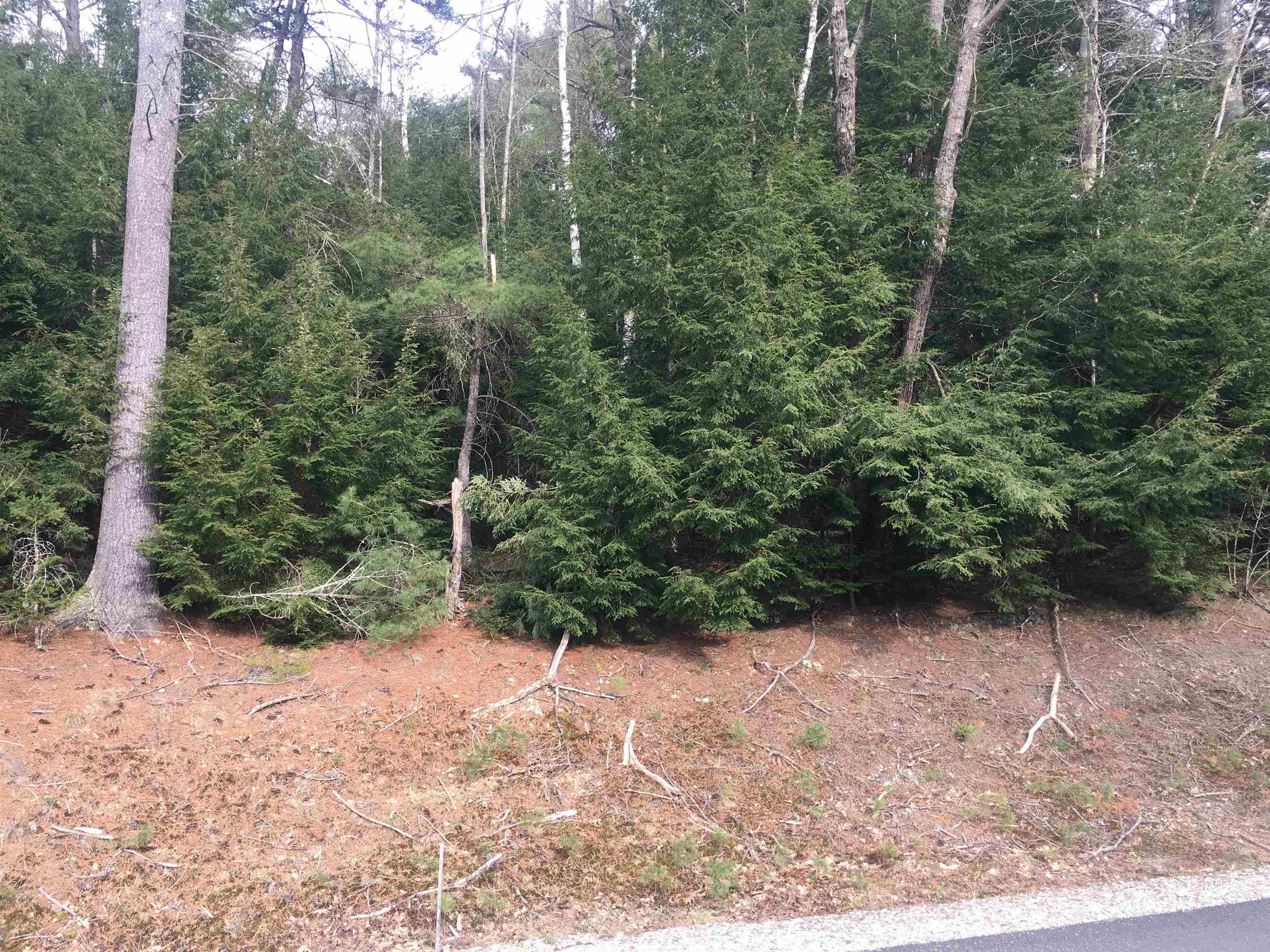 25 Wild Acres Road Belmont, NH 03220 - Photo 18 of 20 Gallery Image 18