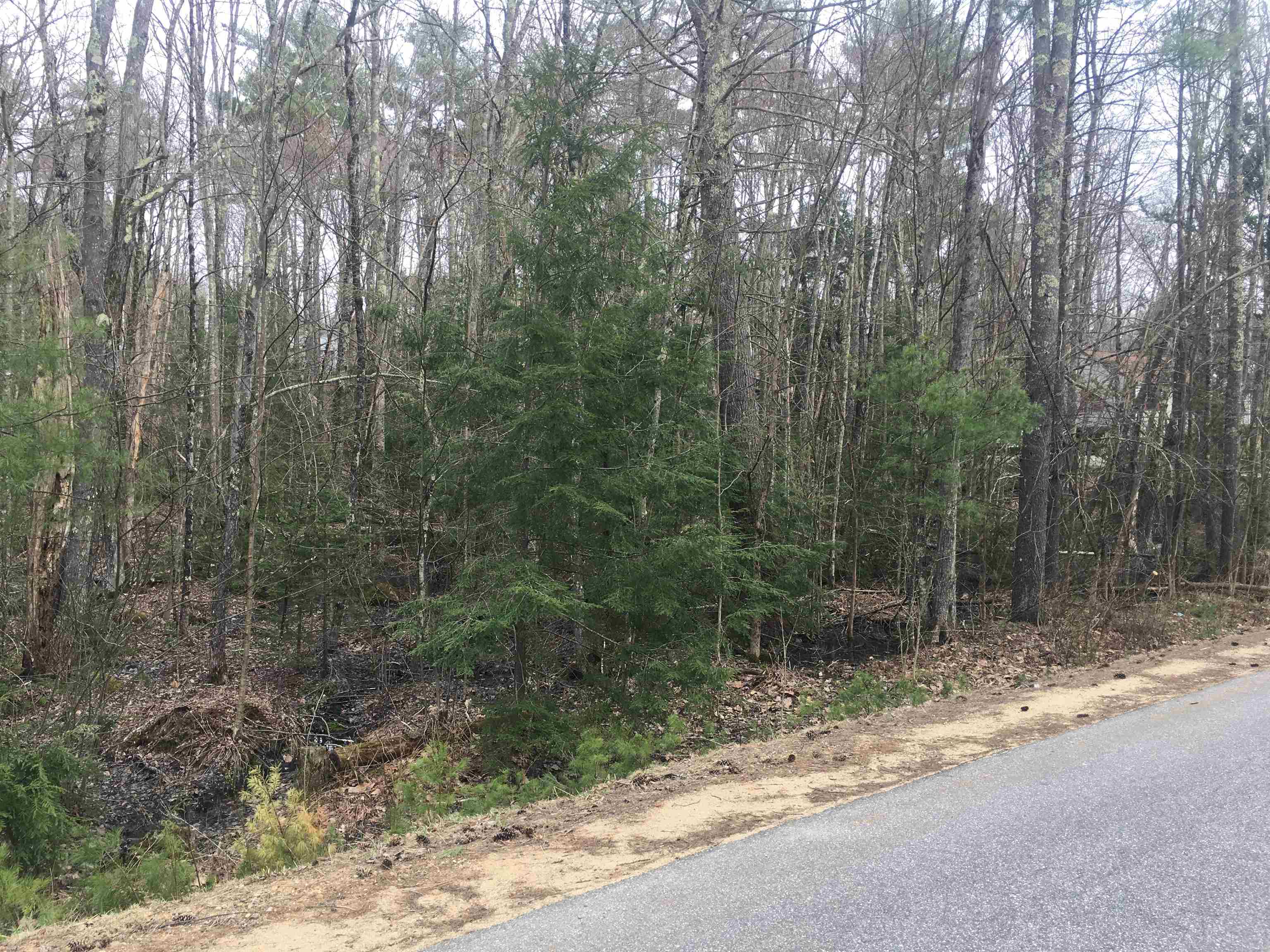 25 Wild Acres Road Belmont, NH 03220 - Photo 19 of 20 Gallery Image 19