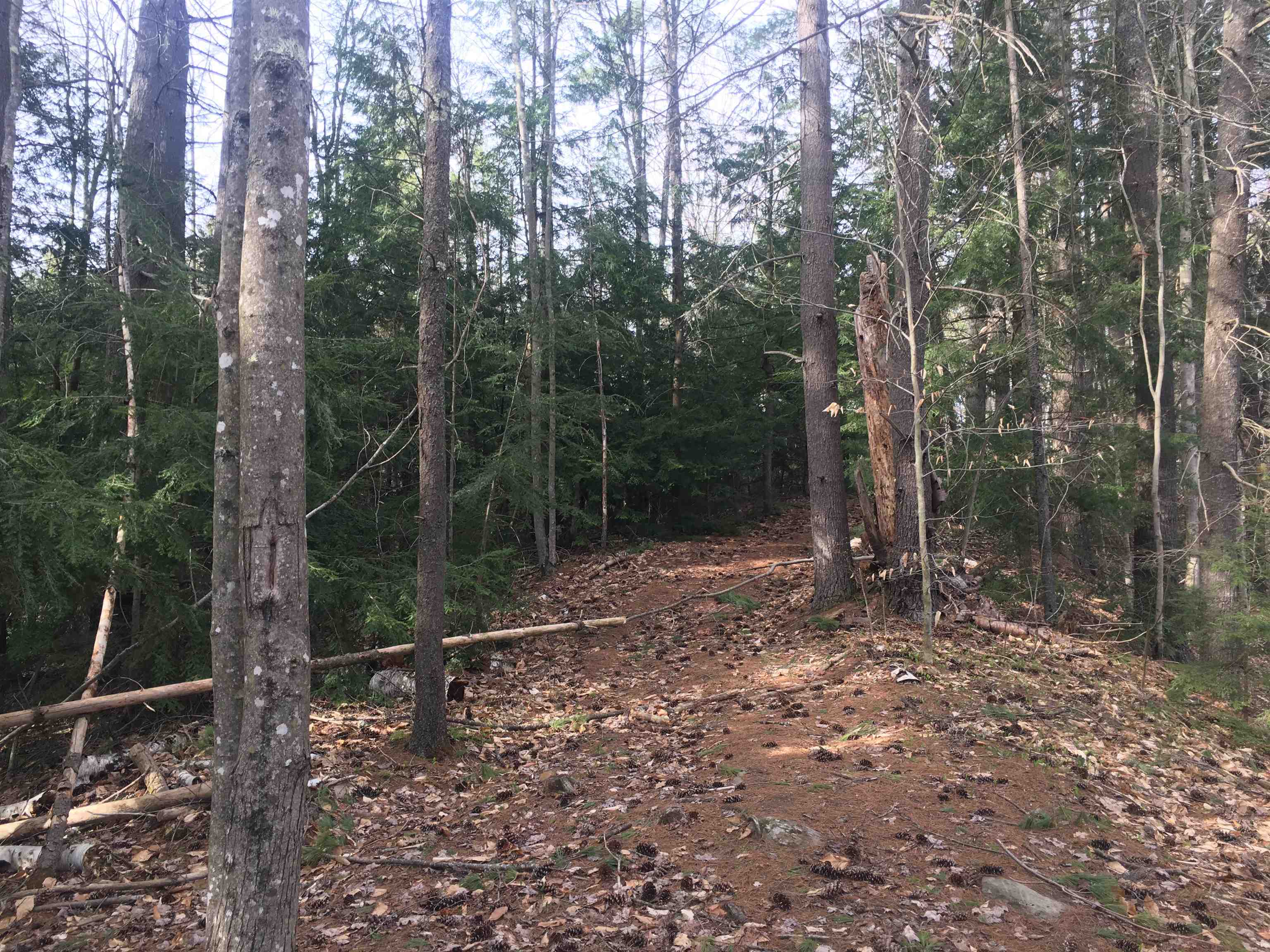 25 Wild Acres Road Belmont, NH 03220 - Photo 20 of 20 Gallery Image 20