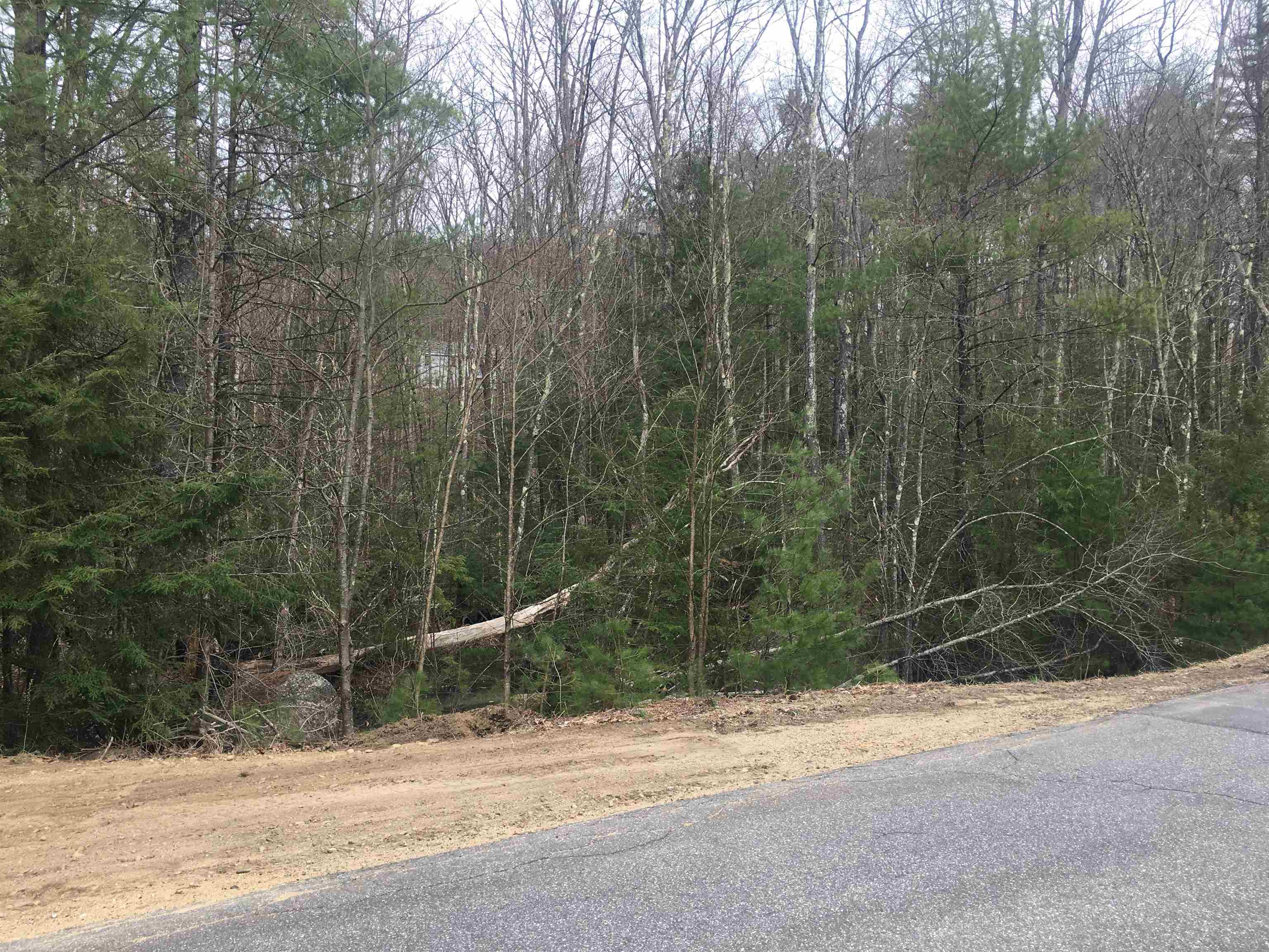 25 Wild Acres Road Belmont, NH 03220 - Photo 5 of 20 Gallery Image 5