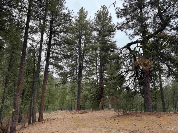 $131,900 | Lot 16 Sunset Loop, Cascade, ID 83611