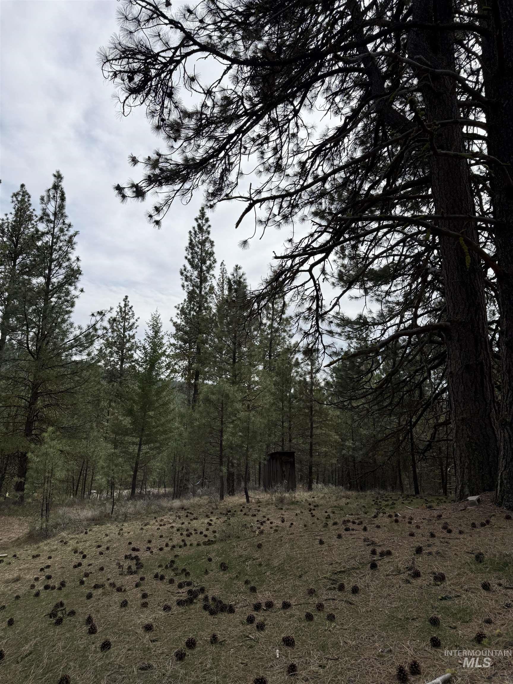 Lot 16 Sunset Loop Cascade, ID 83611 - Photo 11 of 21