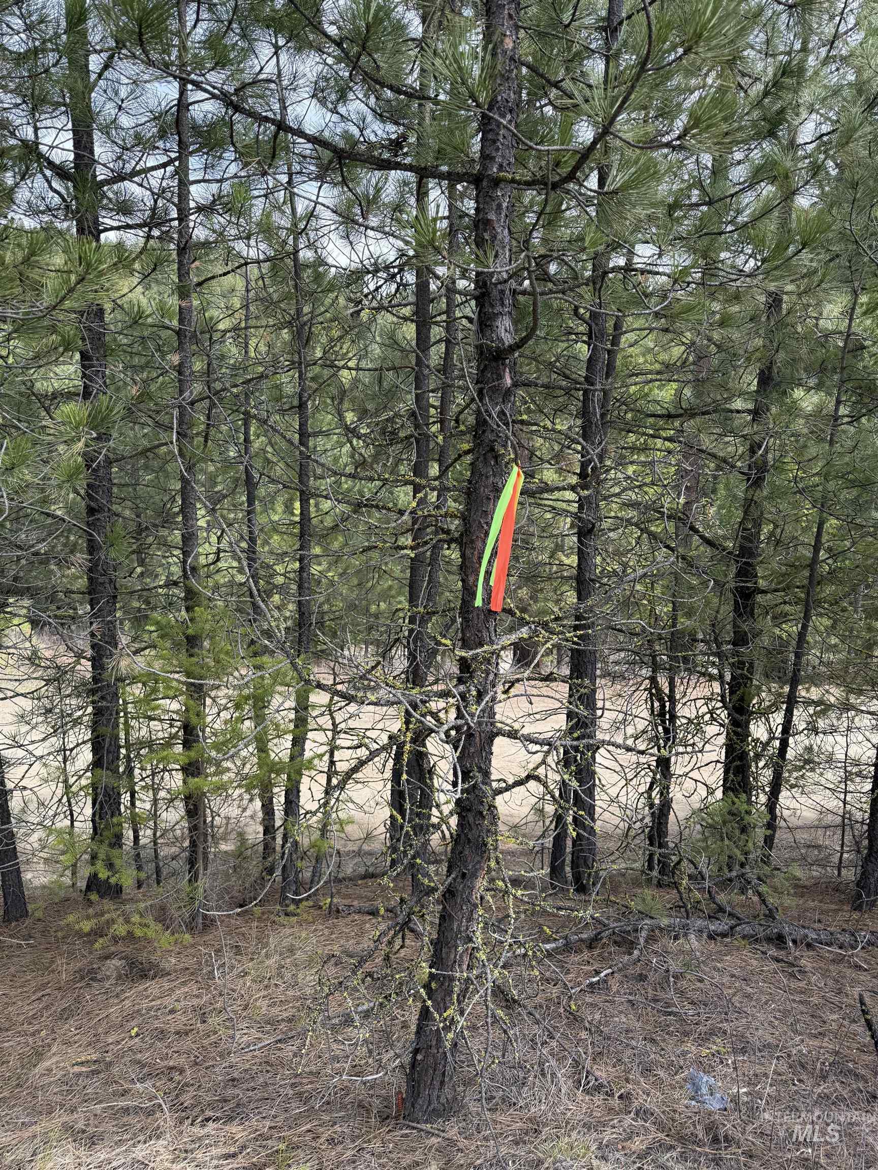 Lot 16 Sunset Loop Cascade, ID 83611 - Photo 15 of 21