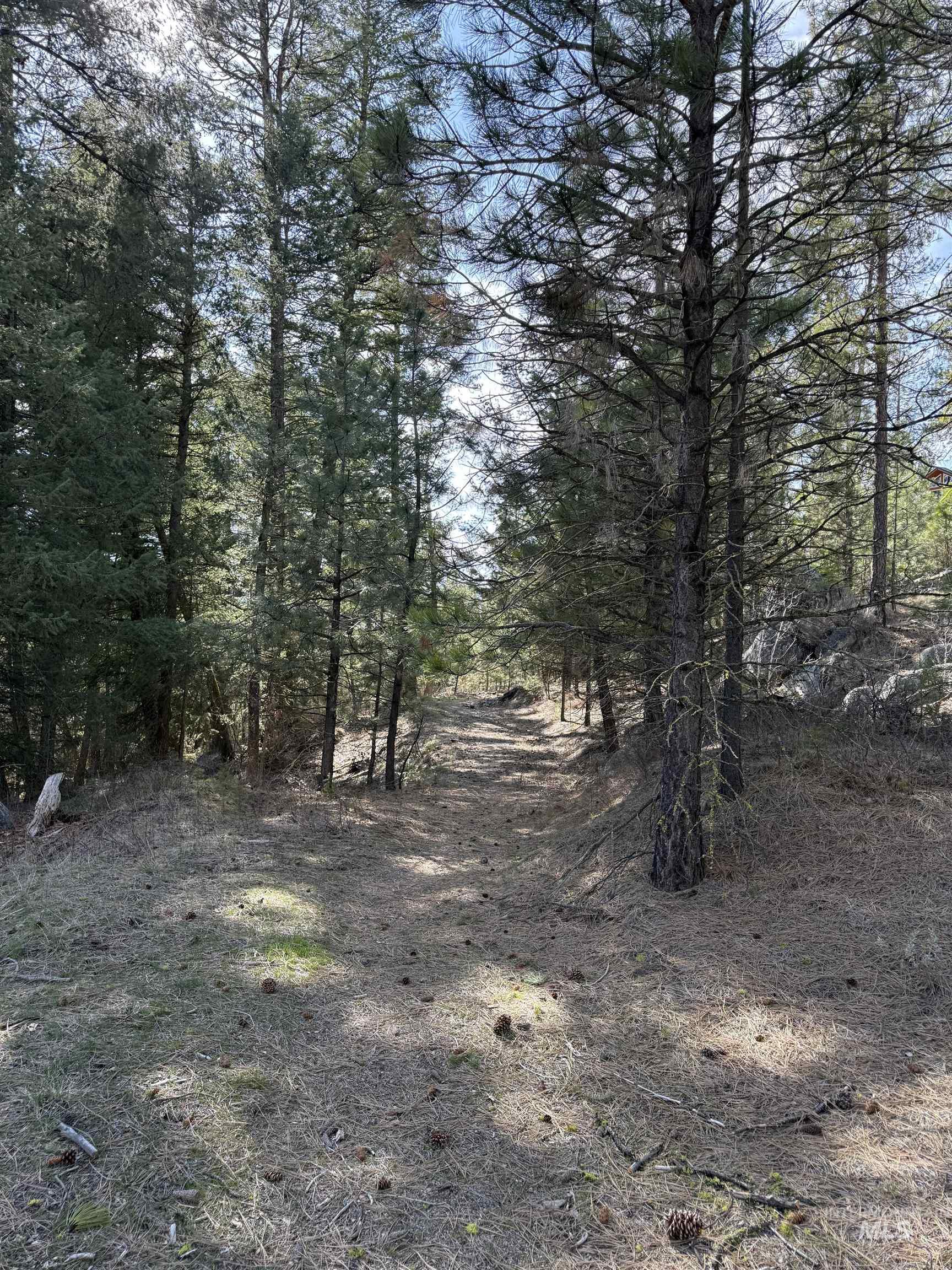 Lot 16 Sunset Loop Cascade, ID 83611 - Photo 19 of 21