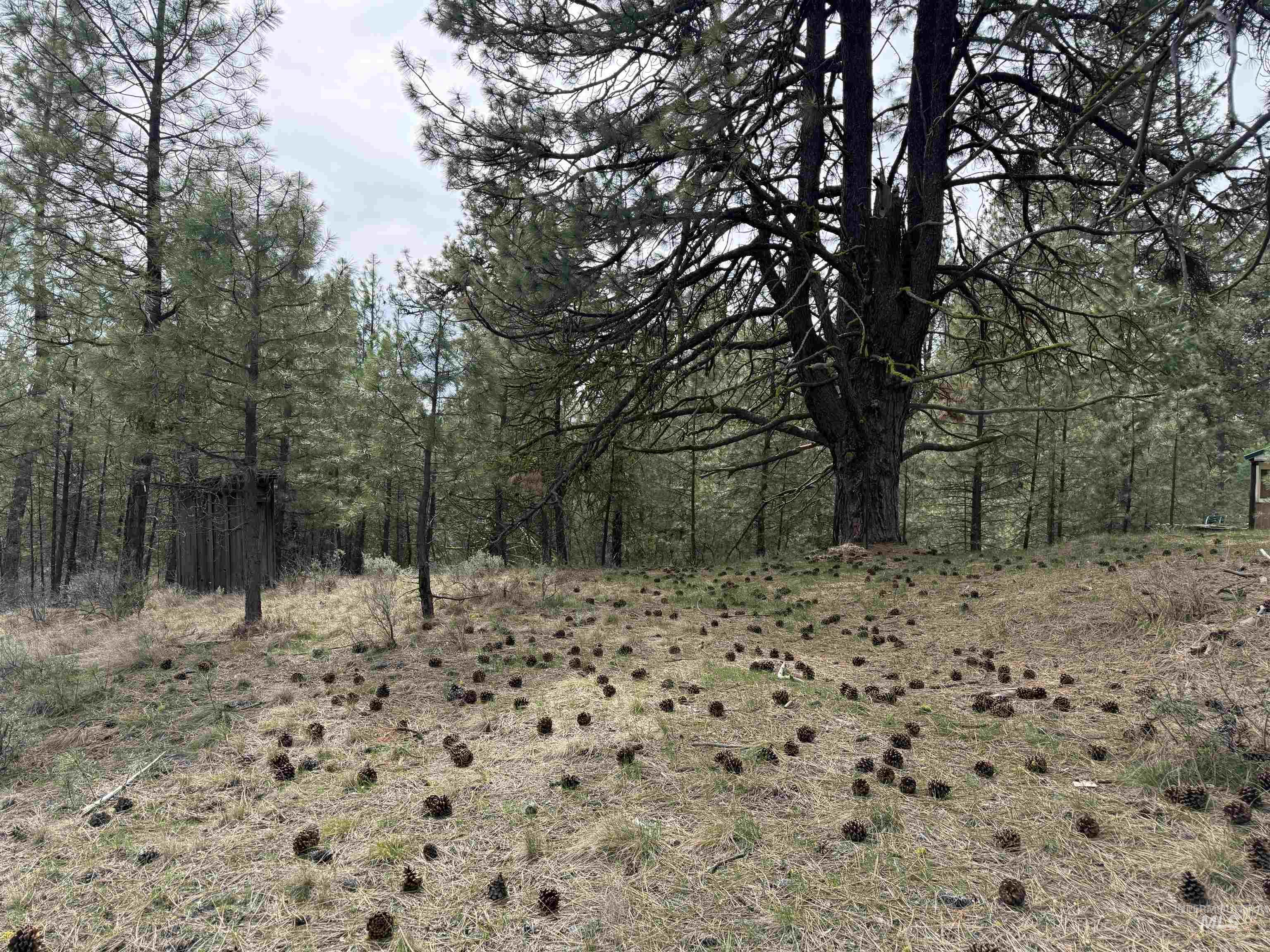 Lot 16 Sunset Loop Cascade, ID 83611 - Photo 4 of 21