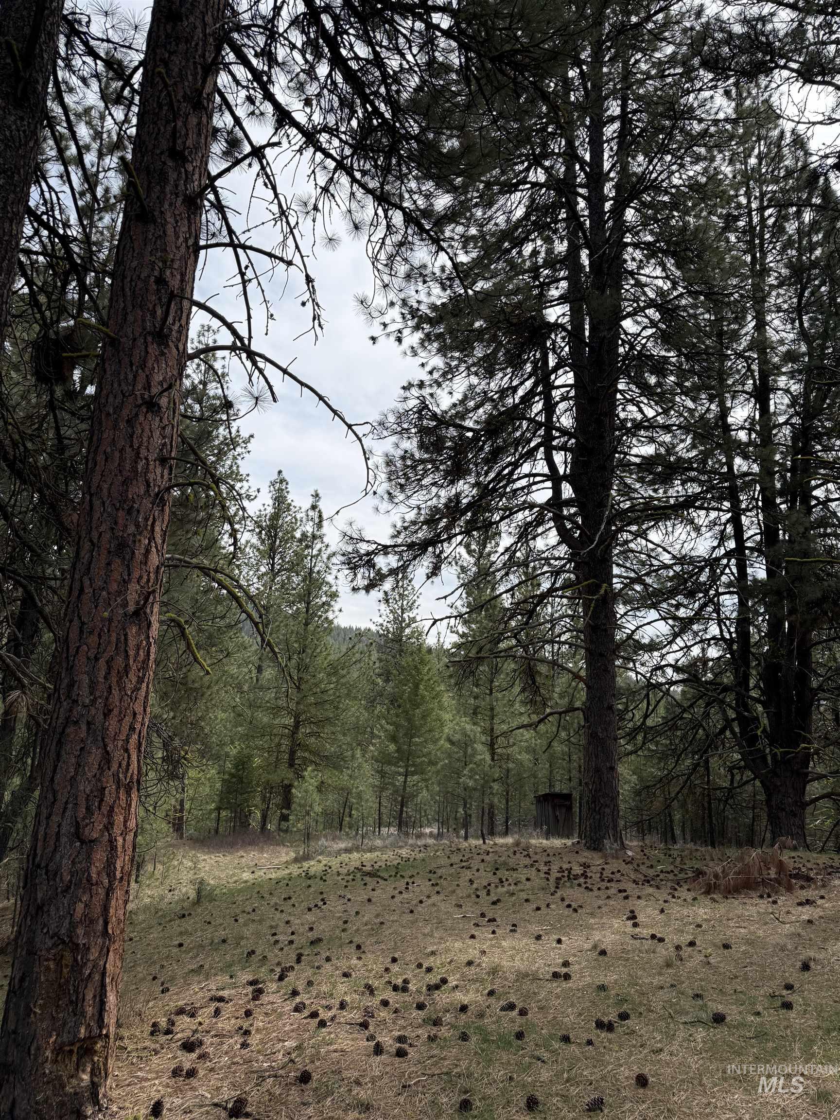 Lot 16 Sunset Loop Cascade, ID 83611 - Photo 5 of 21