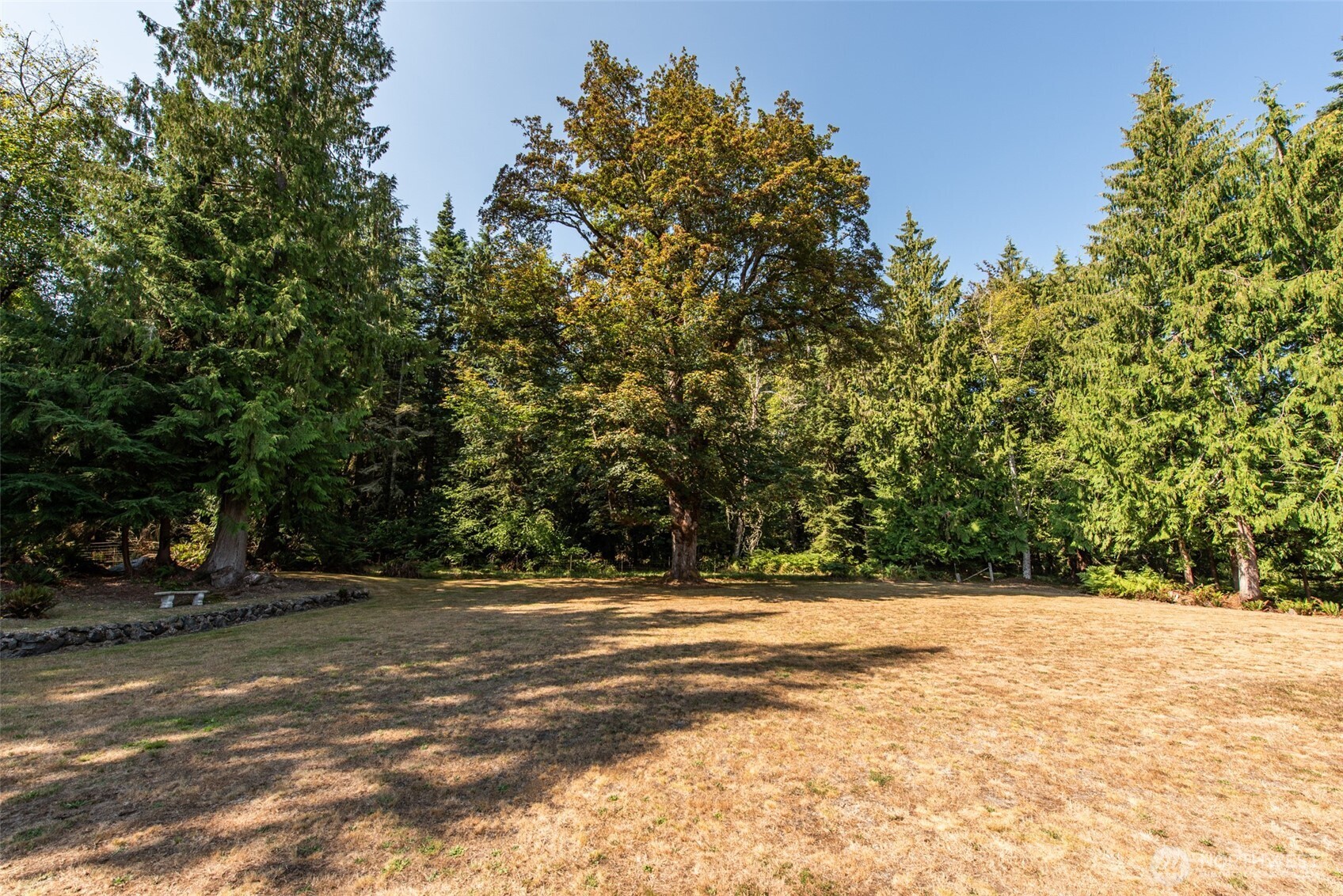 1065 Henry Boyd Road Port Angeles, WA 98362 - Photo 31 of 40 a view of outdoor space with trees
