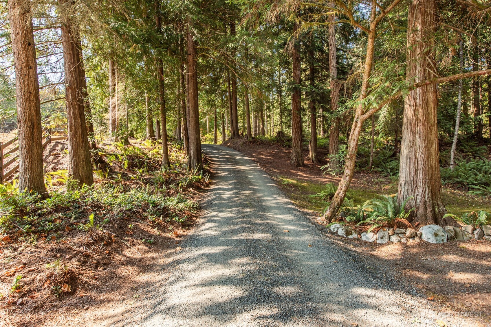1065 Henry Boyd Road Port Angeles, WA 98362 - Photo 32 of 40 a view of a yard with plants and trees
