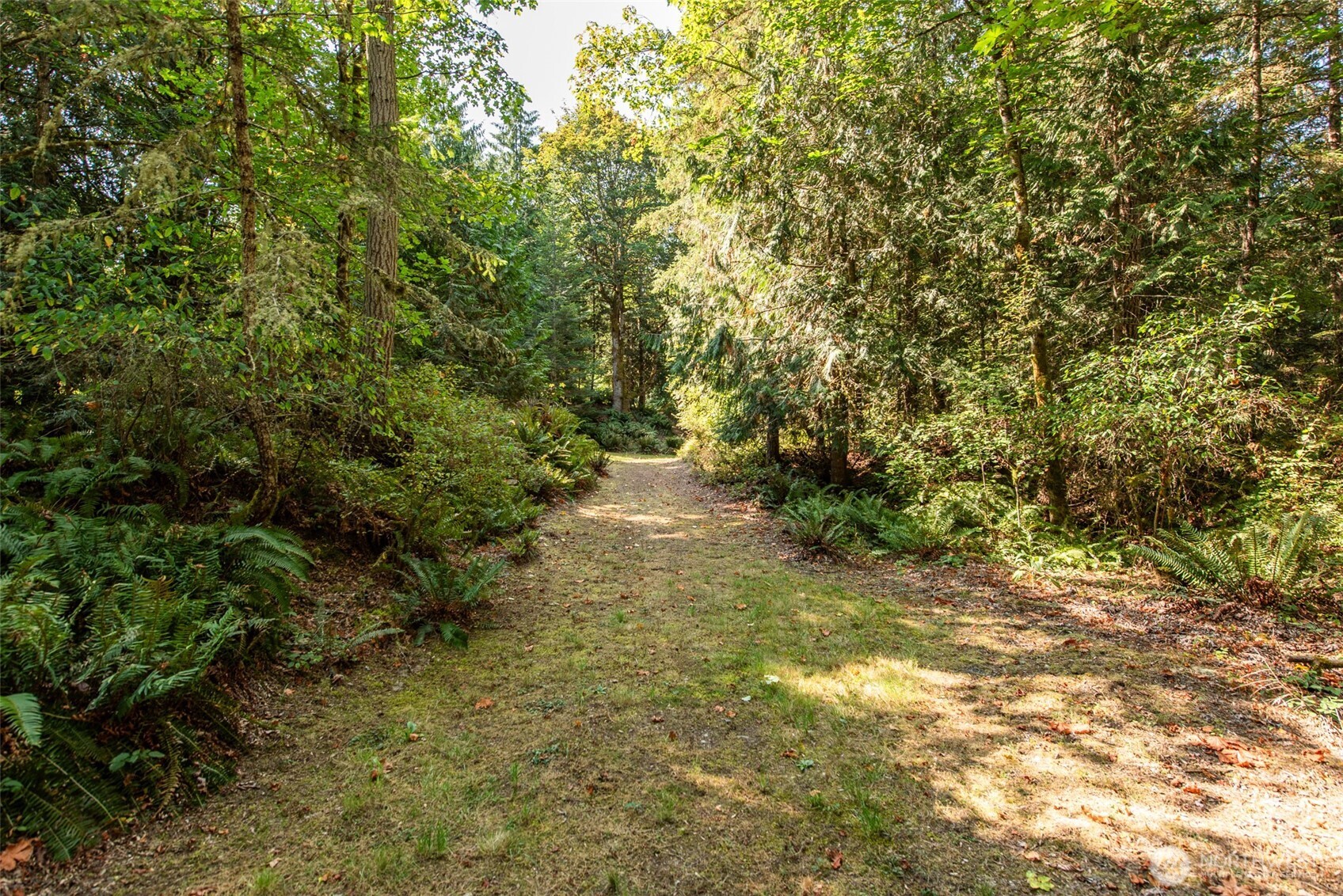 1065 Henry Boyd Road Port Angeles, WA 98362 - Photo 37 of 40 a view of a field with plants and trees