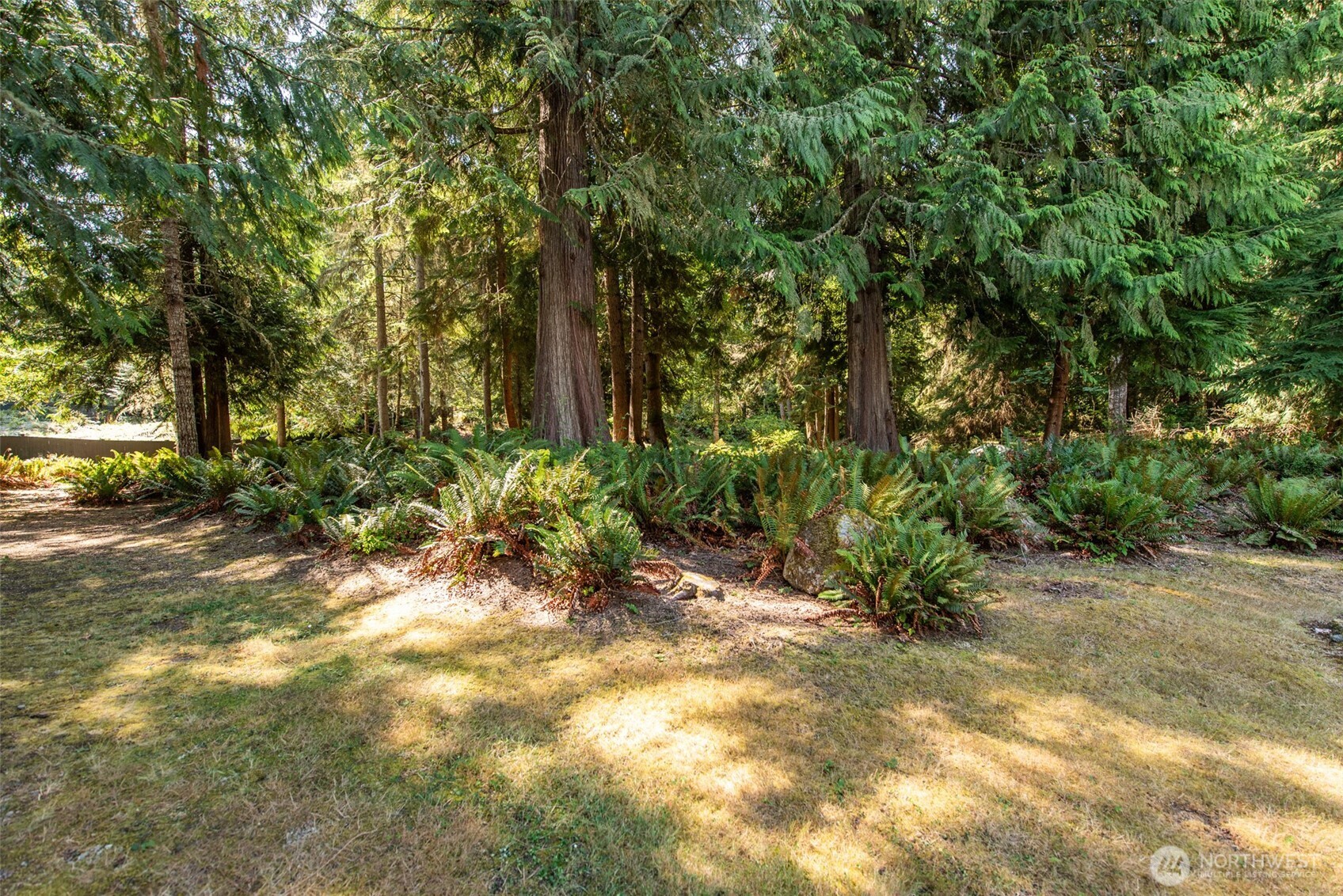 1065 Henry Boyd Road Port Angeles, WA 98362 - Photo 38 of 40 a view of a tall trees with plants in front of main door