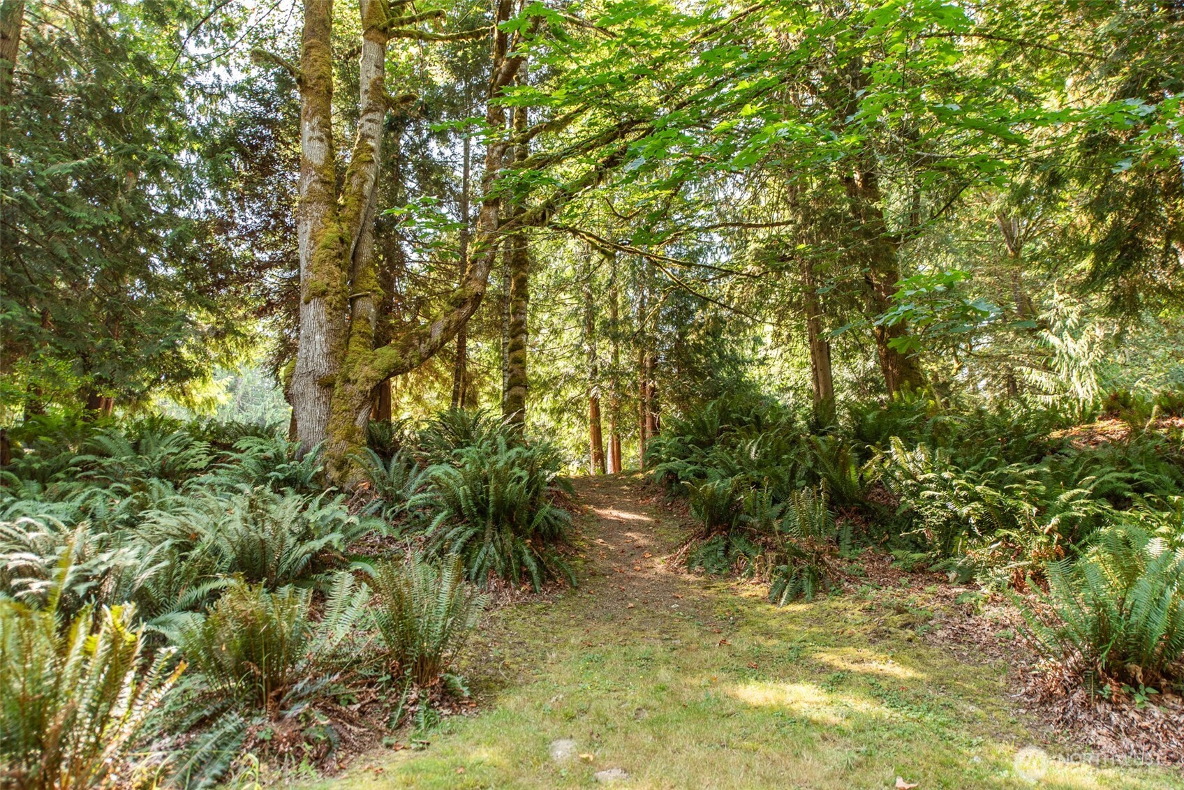 1065 Henry Boyd Road Port Angeles, WA 98362 - Photo 39 of 40 a view of yard