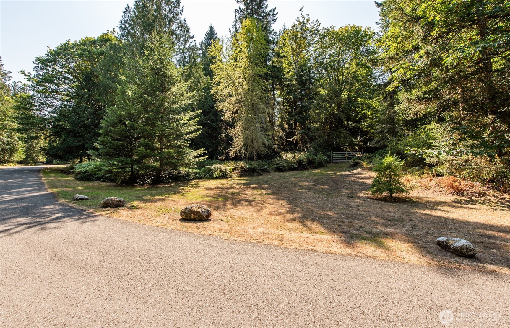 1065 Henry Boyd Road Port Angeles, WA 98362 - Photo 40 of 40 a view of a yard with a tree