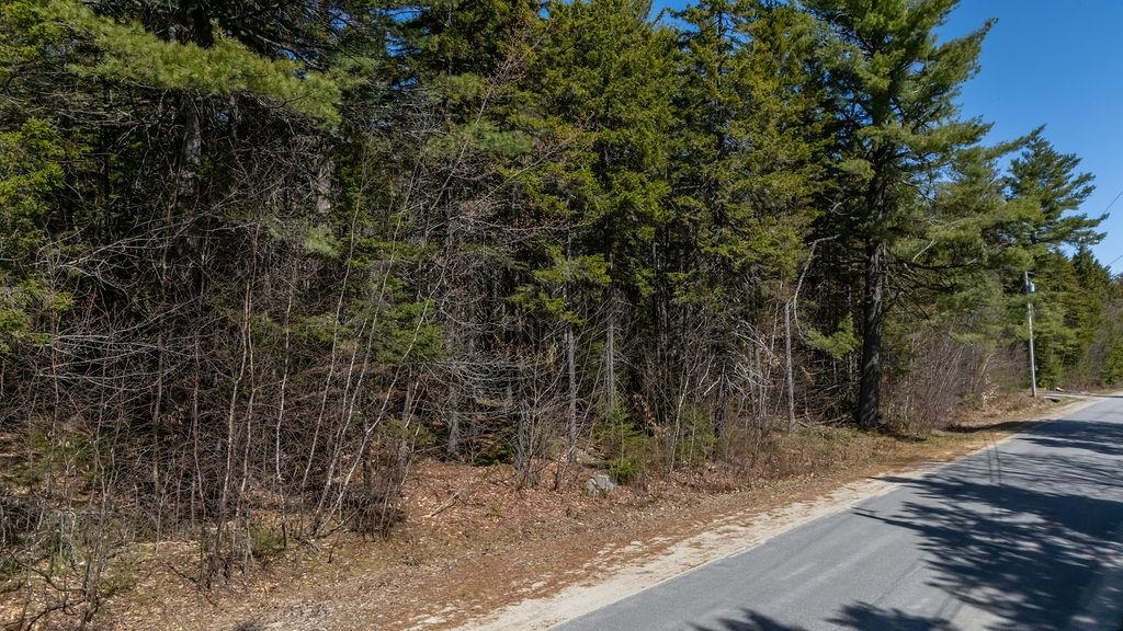 Lot 6 Sargent Road New London, NH 03257 - Photo 4 of 21 Gallery Image 4