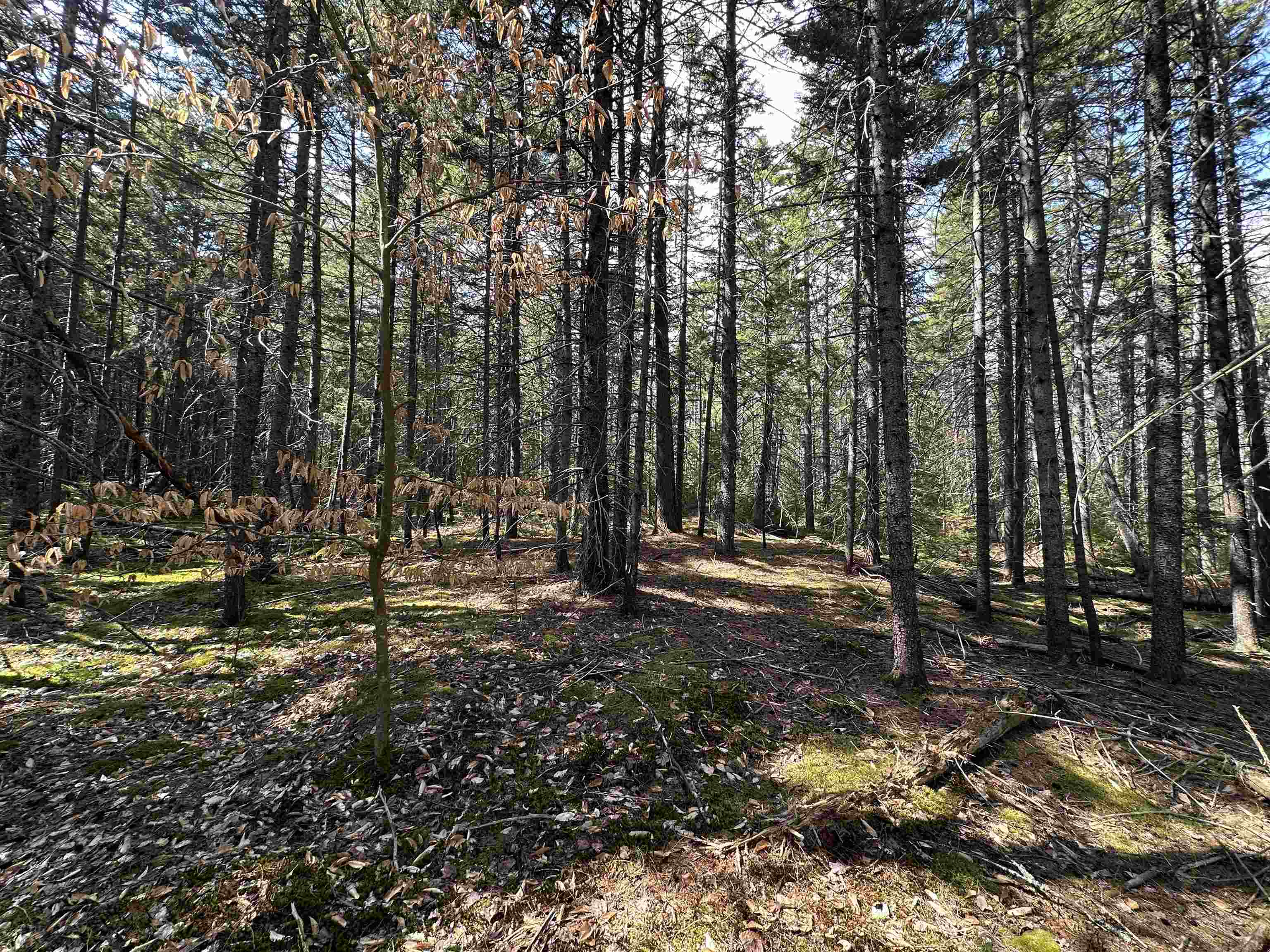 Lot 6 Sargent Road New London, NH 03257 - Photo 5 of 21 Gallery Image 5