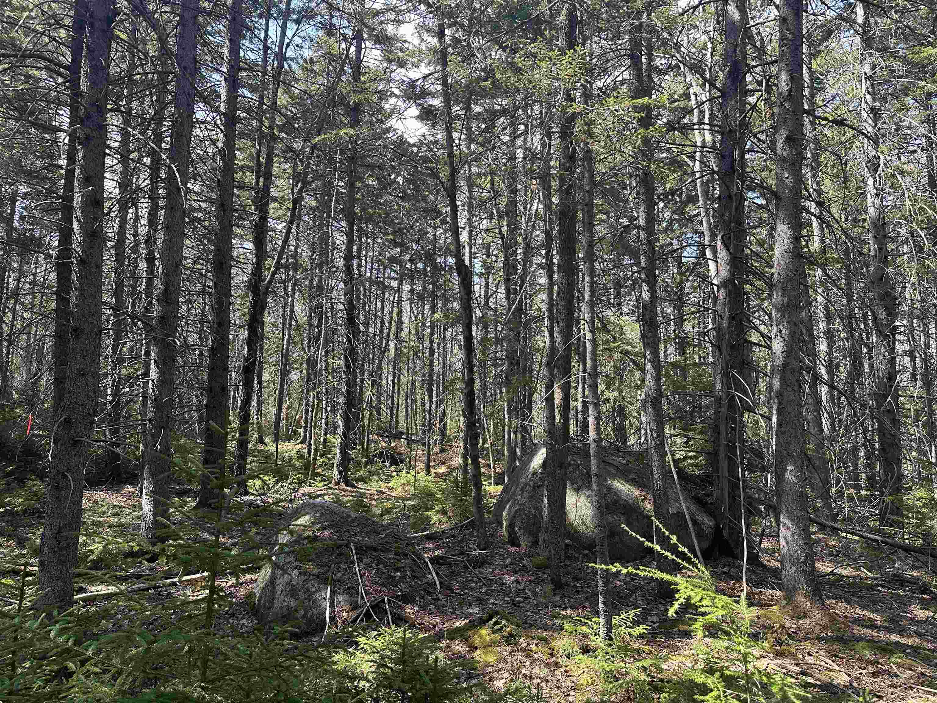 Lot 6 Sargent Road New London, NH 03257 - Photo 6 of 21 Gallery Image 6