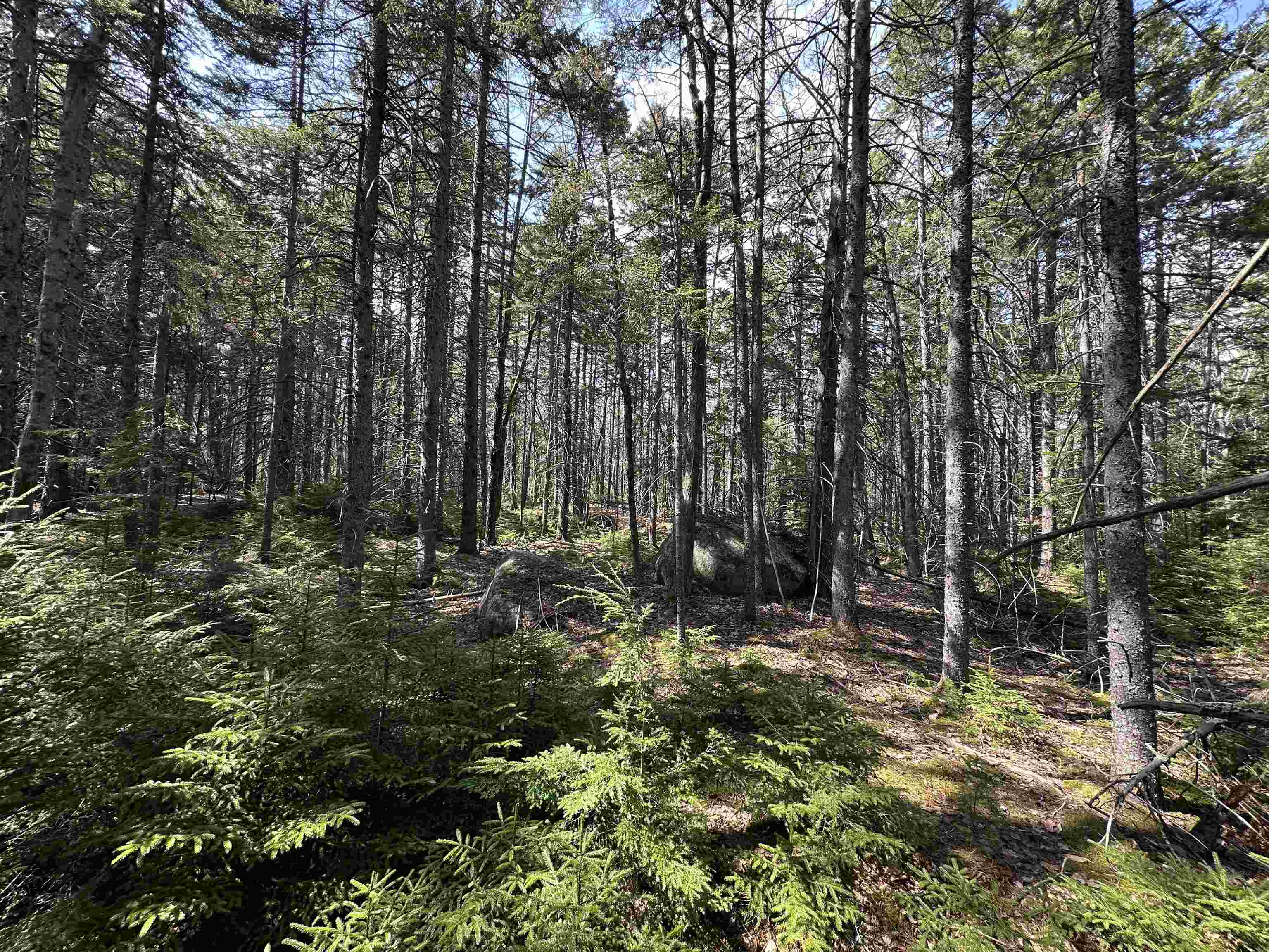 Lot 6 Sargent Road New London, NH 03257 - Photo 8 of 21 Gallery Image 8