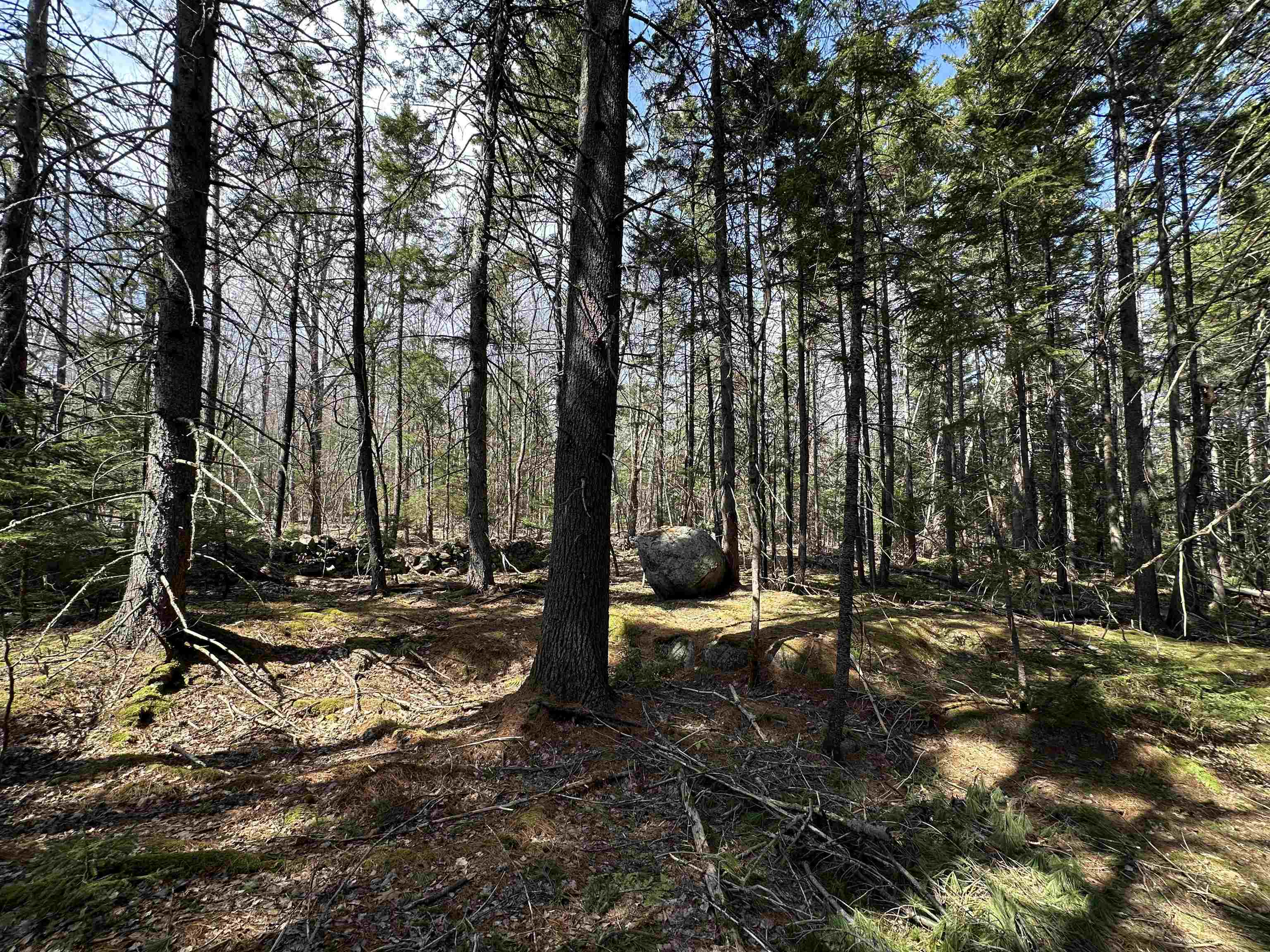 Lot 6 Sargent Road New London, NH 03257 - Photo 10 of 21 Gallery Image 10