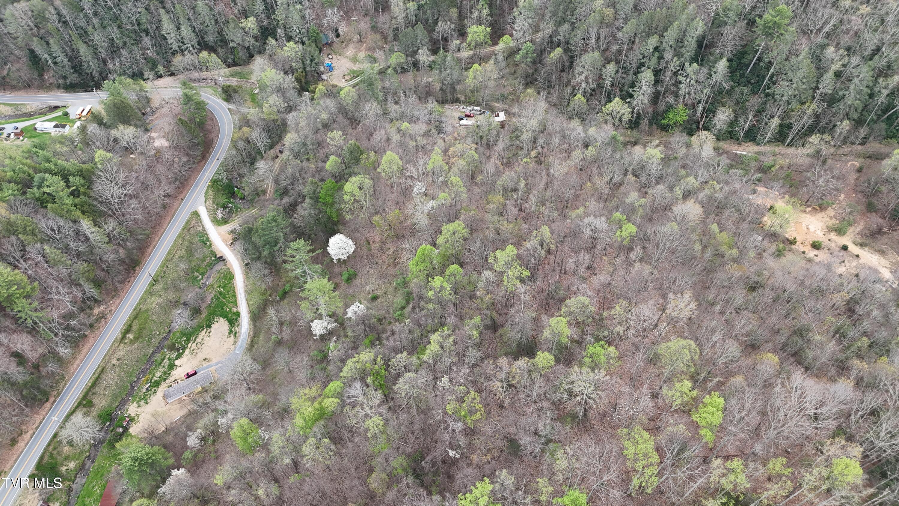 719 Simerly Creek Road Hampton, TN 37658 - Photo 12 of 64 image00012