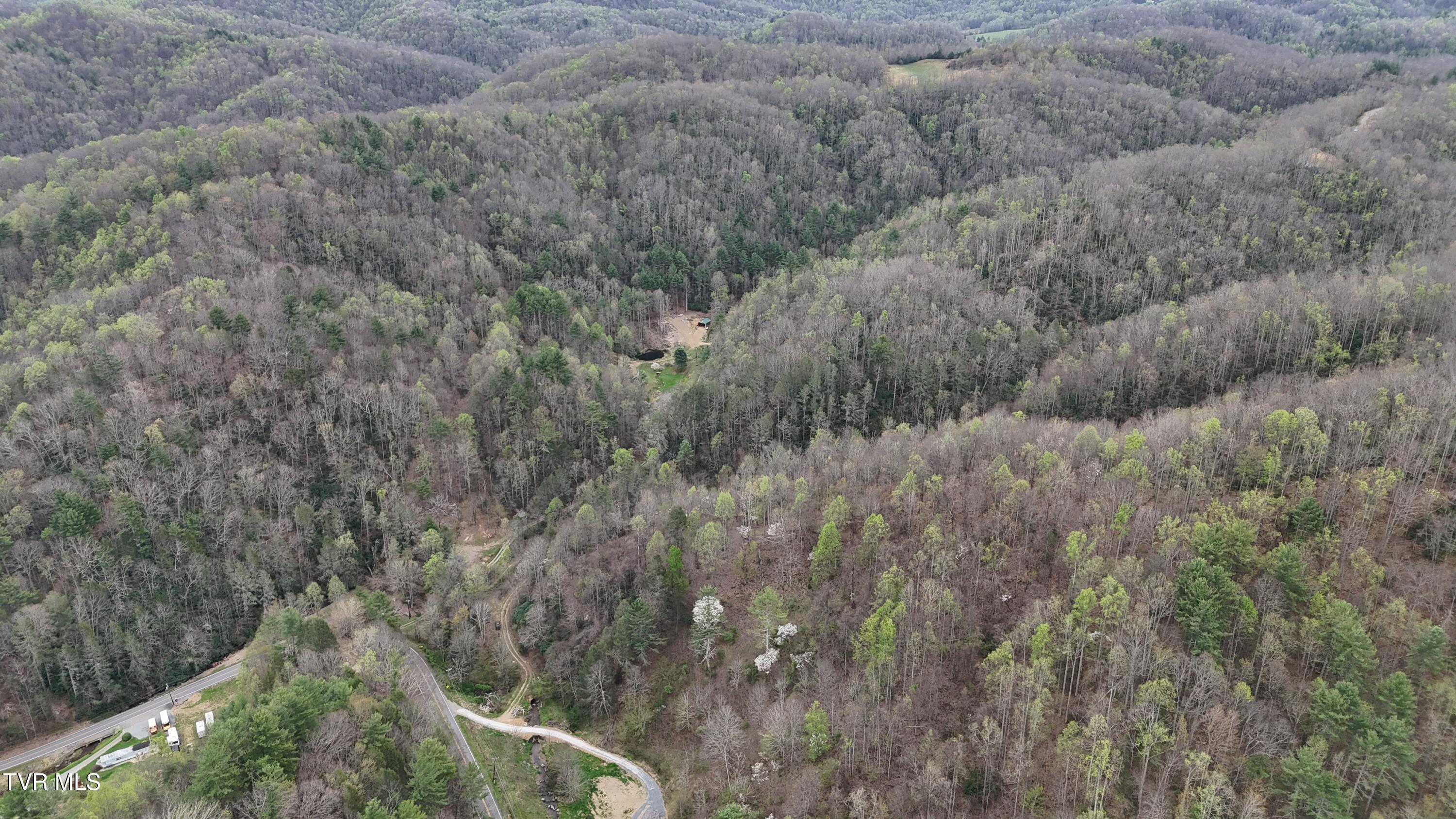 719 Simerly Creek Road Hampton, TN 37658 - Photo 13 of 64 image00013