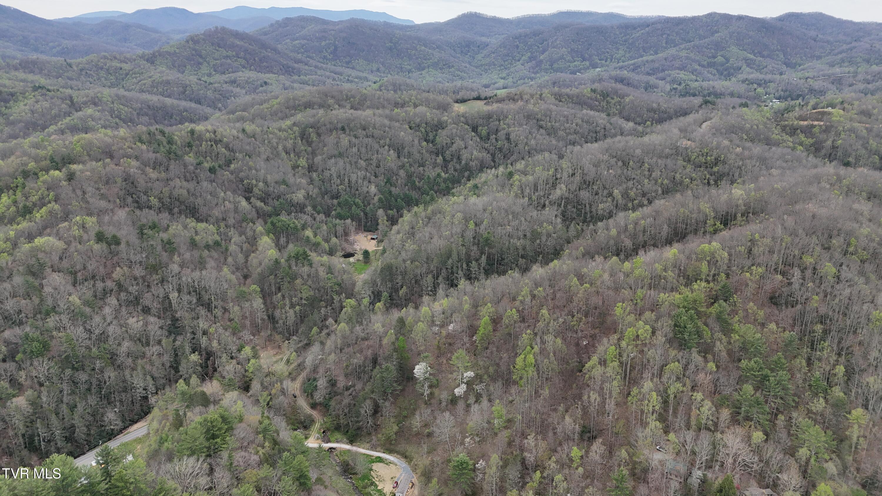 719 Simerly Creek Road Hampton, TN 37658 - Photo 14 of 64 image00014