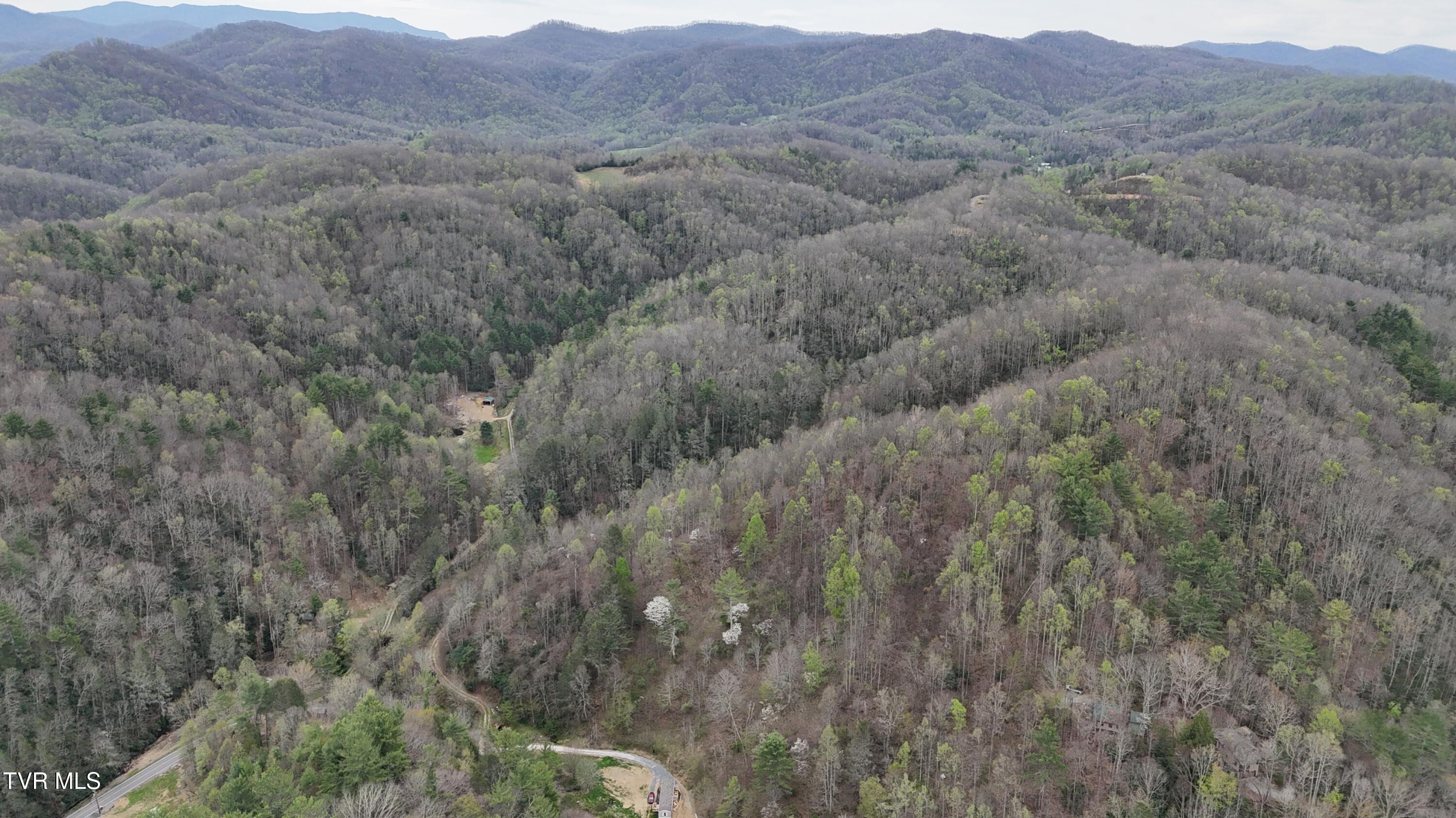 719 Simerly Creek Road Hampton, TN 37658 - Photo 15 of 64 image00015