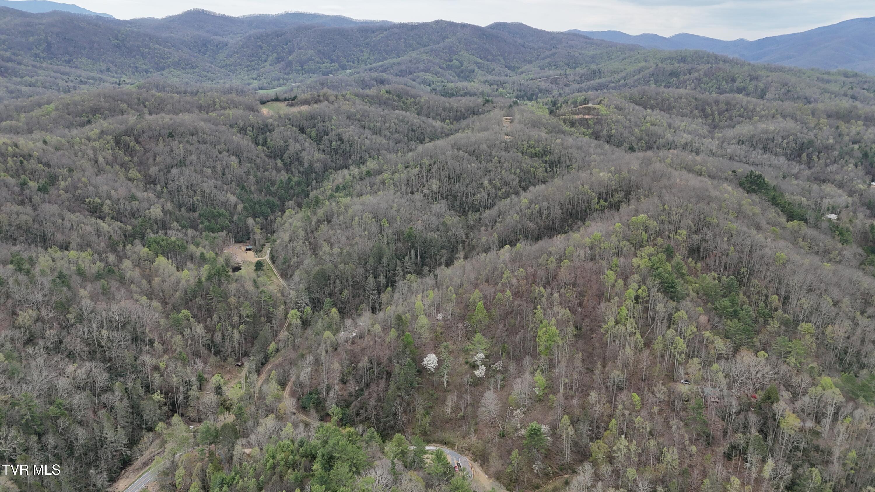 719 Simerly Creek Road Hampton, TN 37658 - Photo 17 of 64 image00017