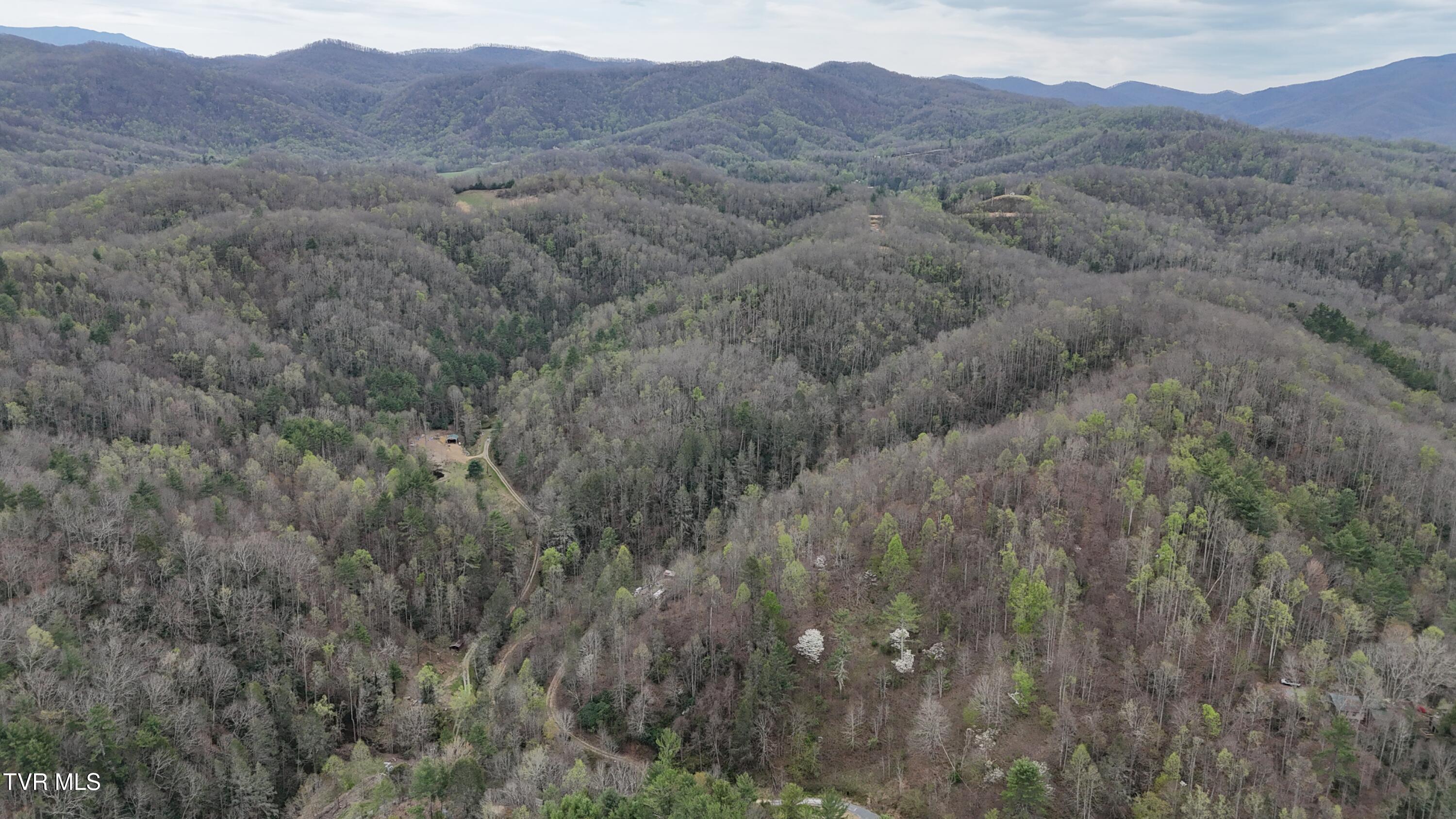 719 Simerly Creek Road Hampton, TN 37658 - Photo 18 of 64 image00018