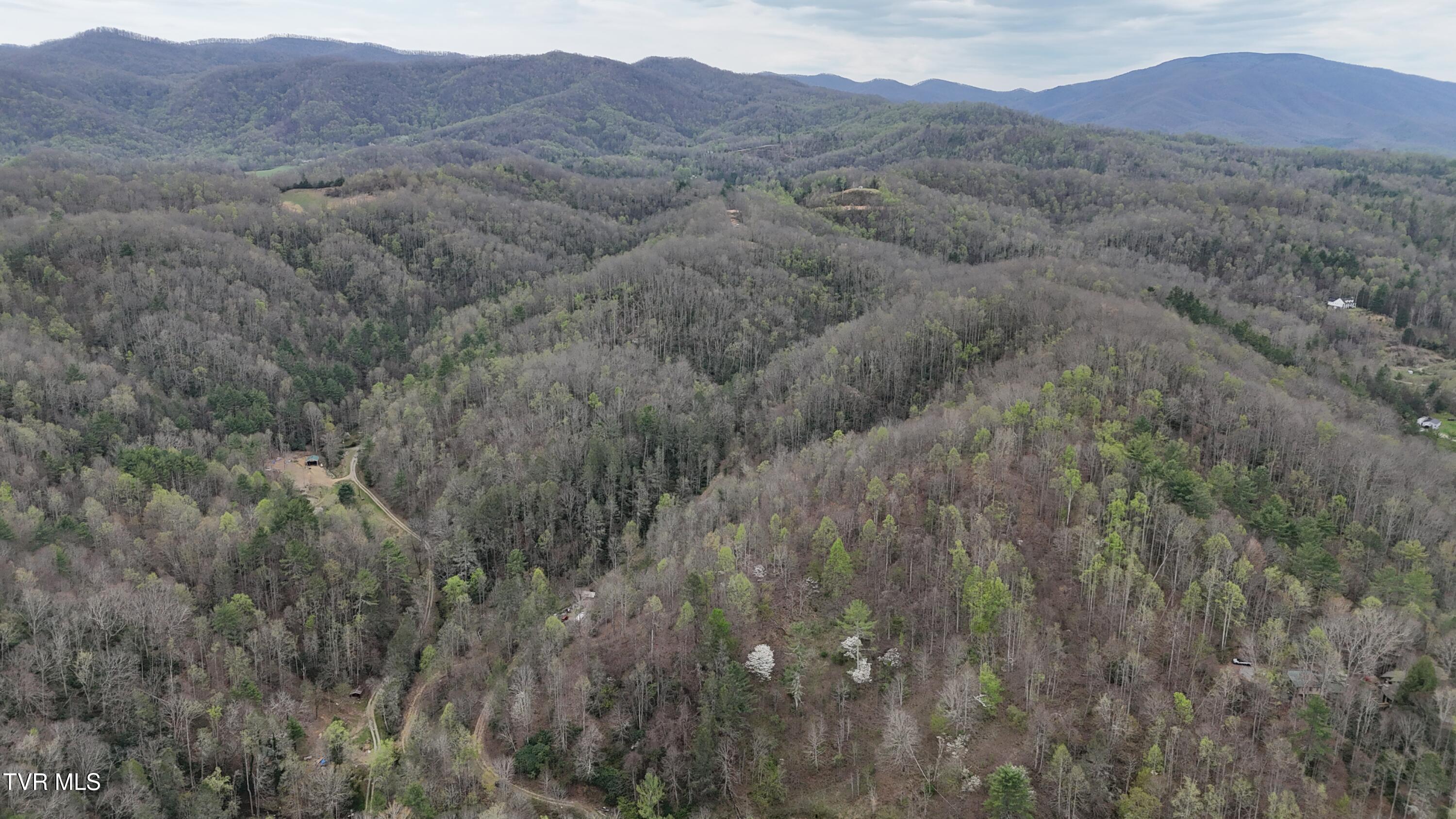 719 Simerly Creek Road Hampton, TN 37658 - Photo 19 of 64 image00019