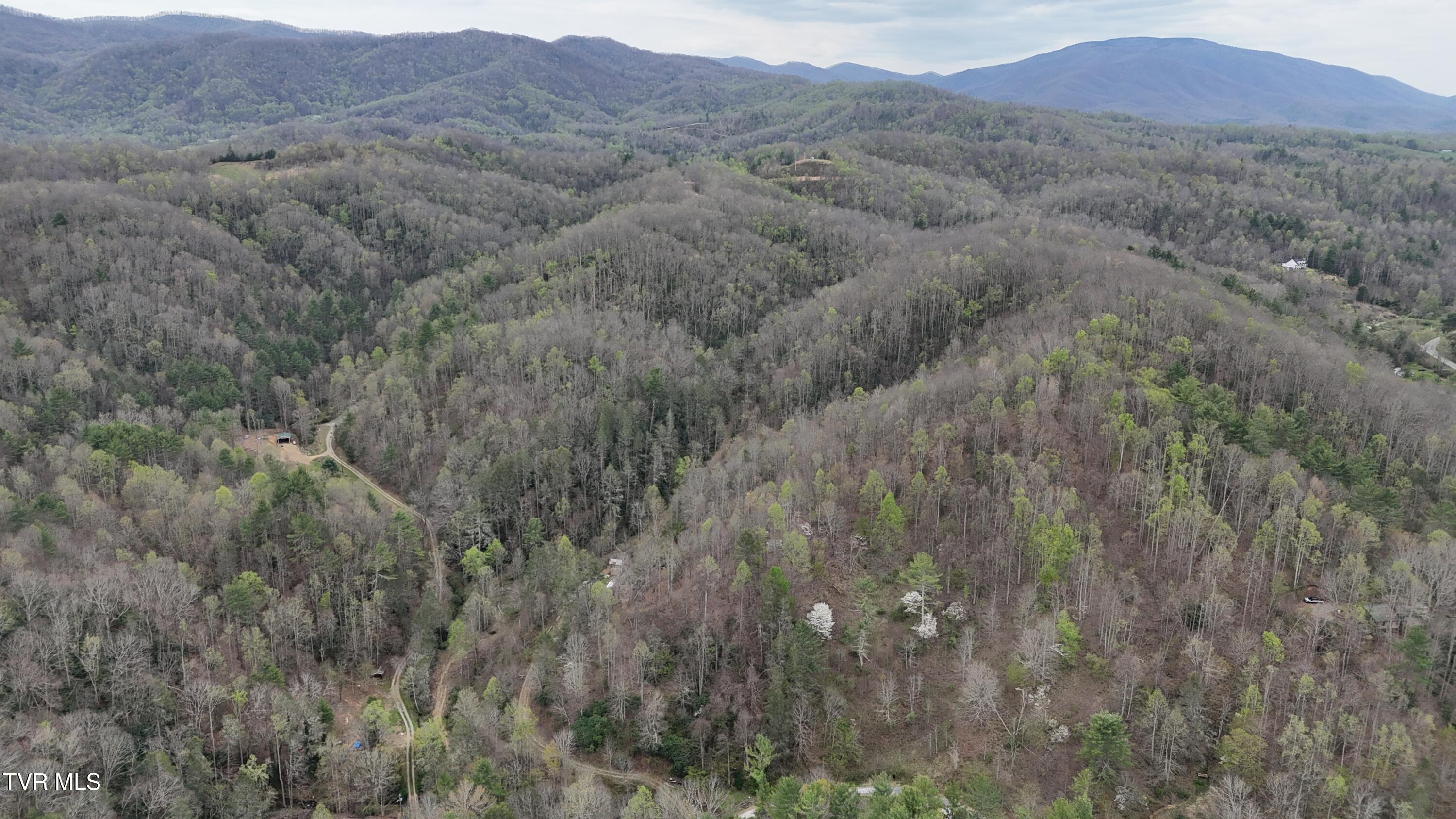 719 Simerly Creek Road Hampton, TN 37658 - Photo 20 of 64 image00020