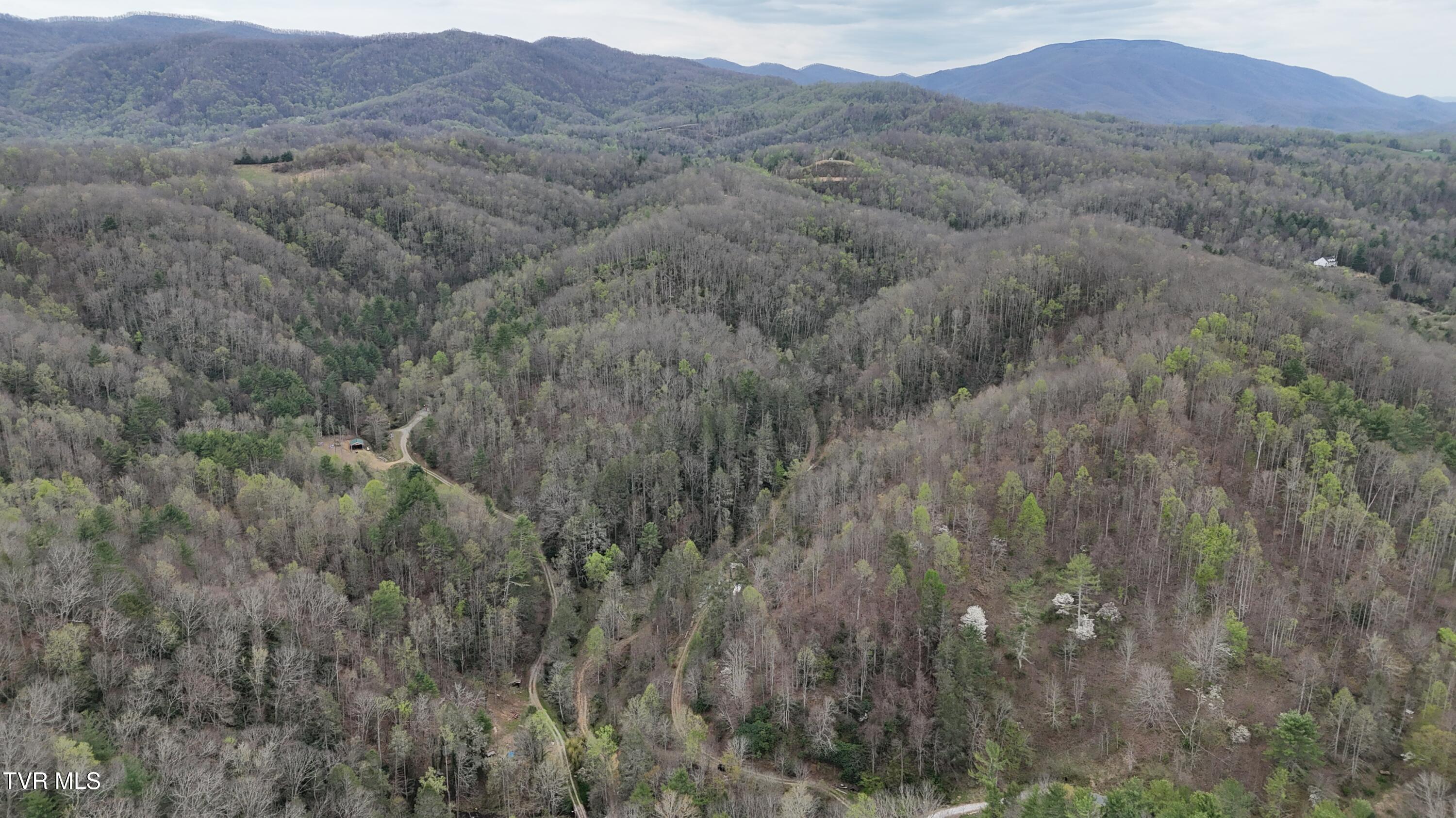 719 Simerly Creek Road Hampton, TN 37658 - Photo 21 of 64 image00021