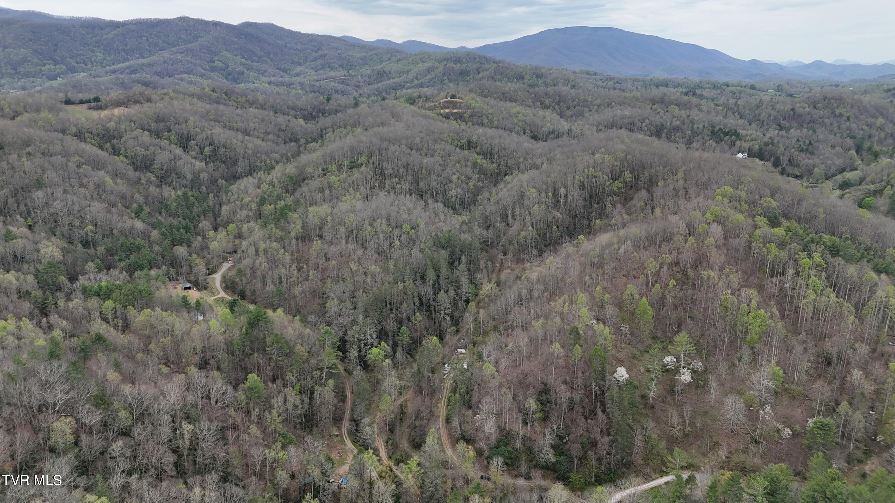 719 Simerly Creek Road Hampton, TN 37658 - Photo 22 of 64 image00022