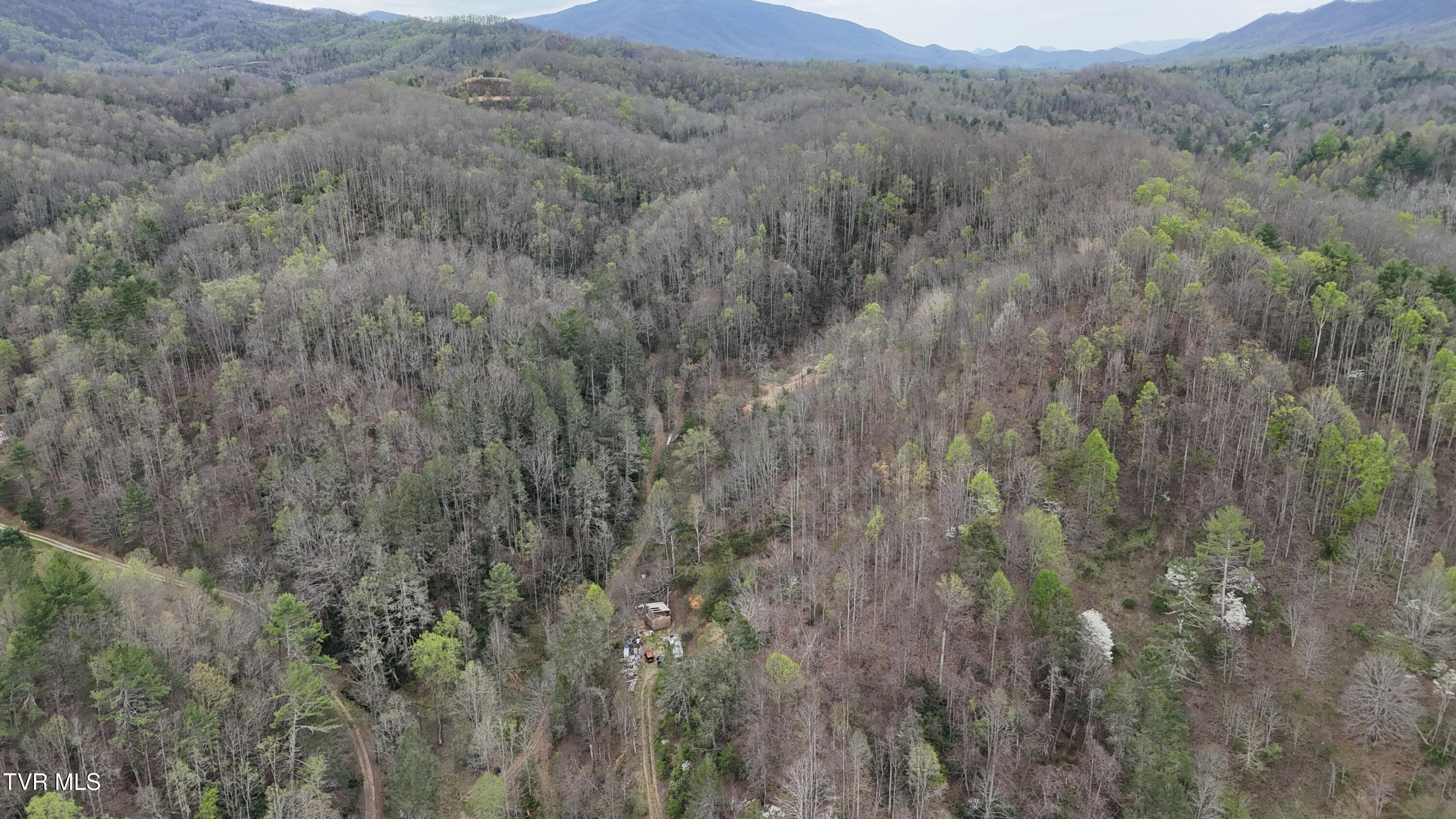 719 Simerly Creek Road Hampton, TN 37658 - Photo 28 of 64 image00028