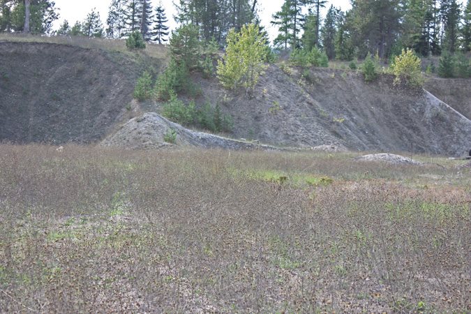 L2-20a Westside Calispel Road Usk, WA 99180 - Photo 11 of 18 Gallery Image 11