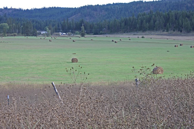 L2-20a Westside Calispel Road Usk, WA 99180 - Photo 12 of 18 Gallery Image 12