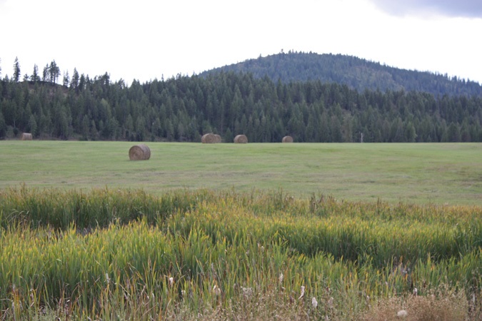 L2-20a Westside Calispel Road Usk, WA 99180 - Photo 16 of 18 Gallery Image 16