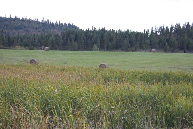 L2-20a Westside Calispel Road Usk, WA 99180 - Photo 17 of 18 Gallery Image 17