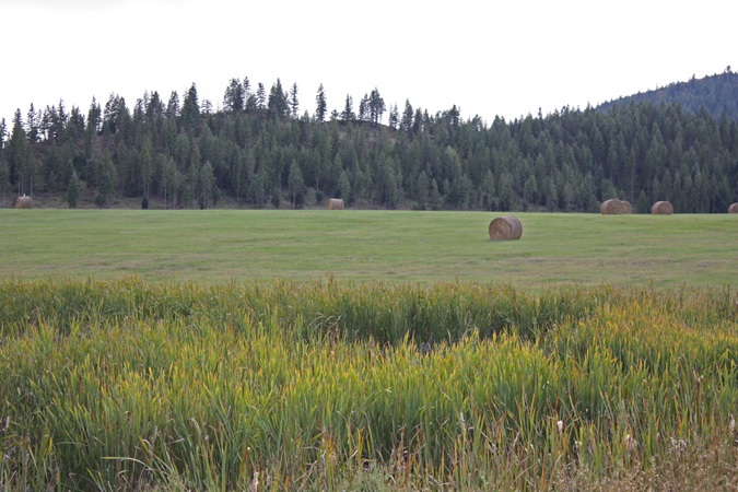L2-20a Westside Calispel Road Usk, WA 99180 - Photo 18 of 18 Gallery Image 18